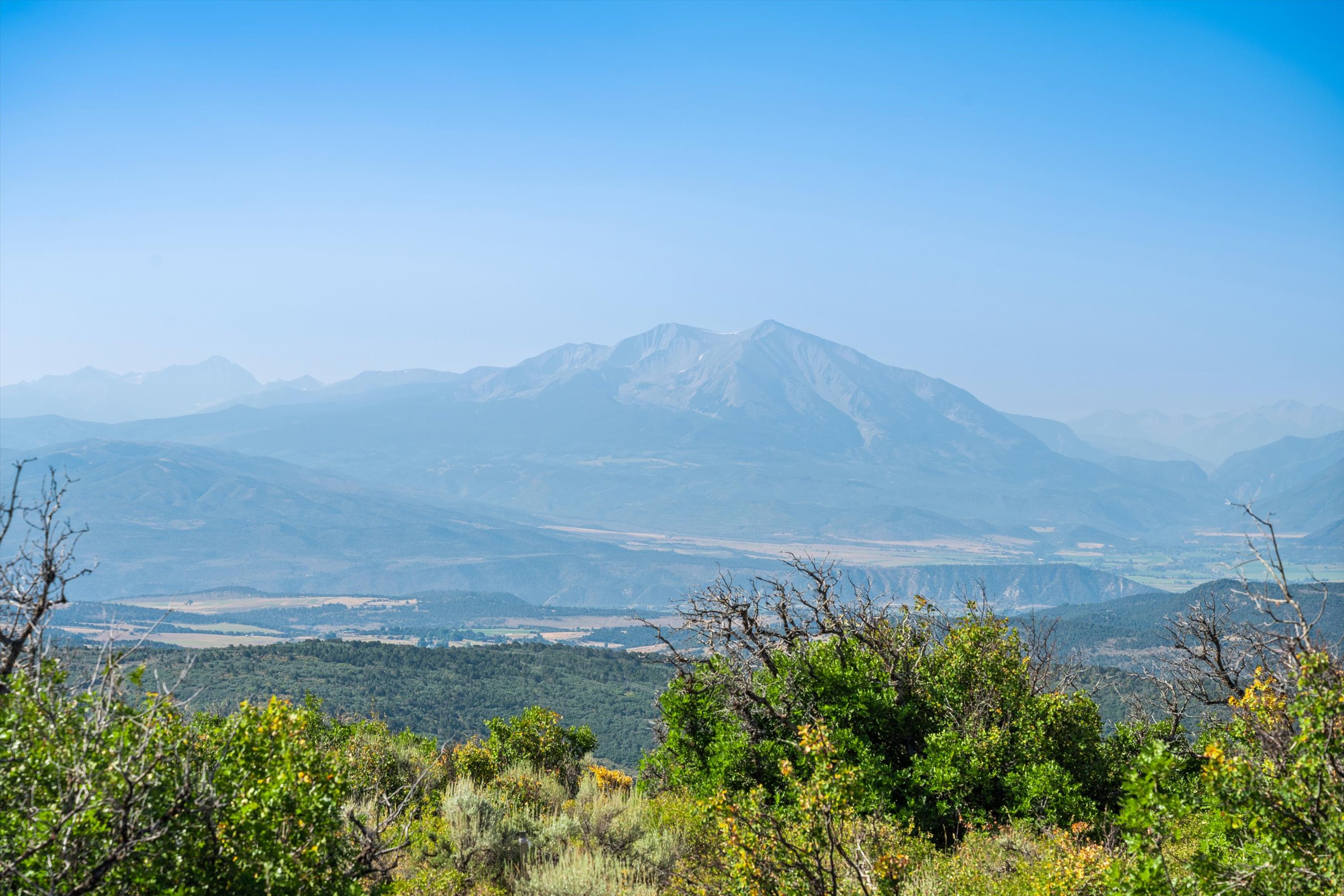 This image captures a breathtaking, wide-angle panoramic view of a majestic mountain range under a clear, bright blue sky. In the foreground, lush green foliage and scrub brush frame the scene, providing a natural, textured contrast to the vast, hazy valley and towering peaks in the distance. The perspective is elevated, suggesting a scenic overlook or a high-altitude vantage point that emphasizes the expansive natural beauty of the landscape.