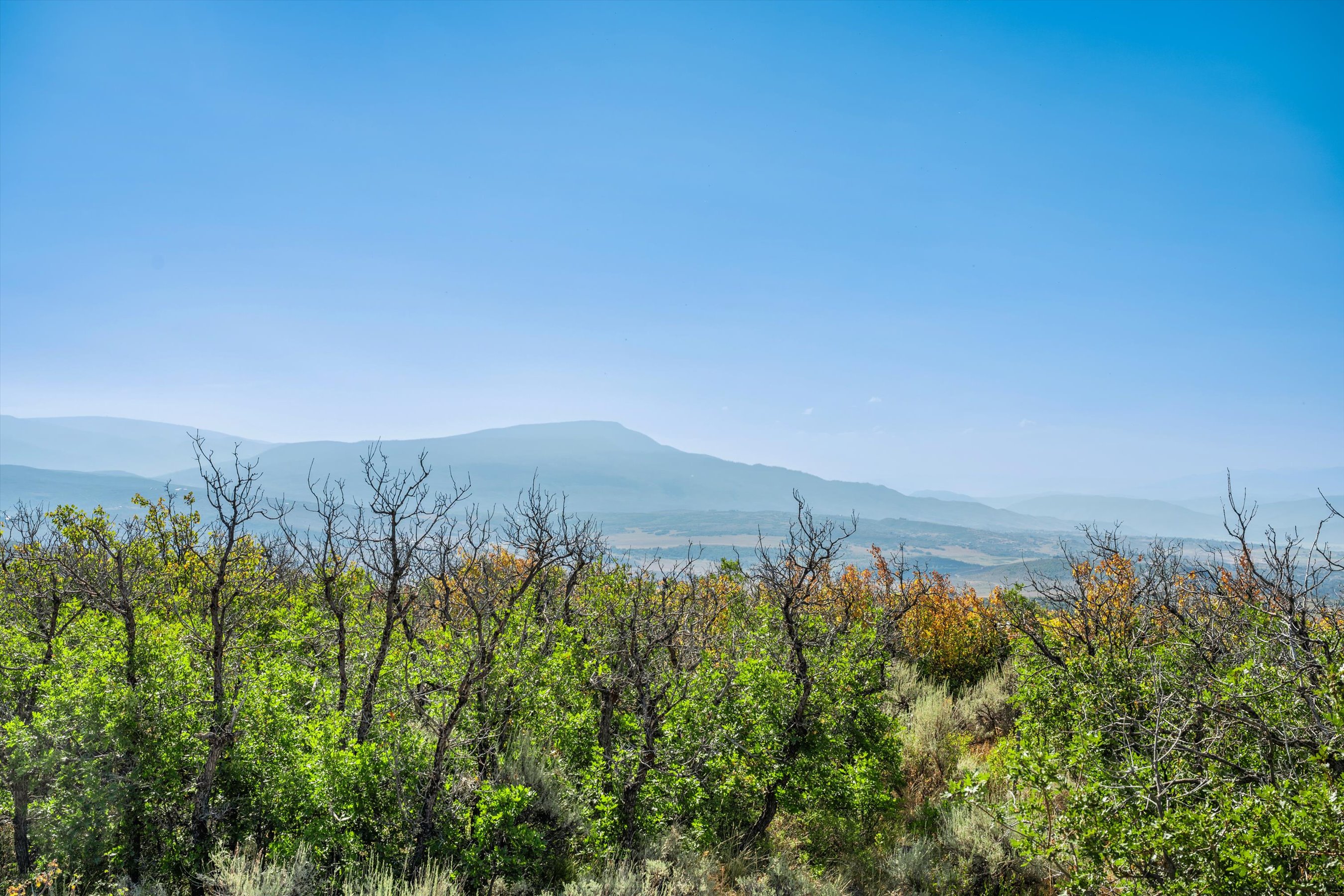 This scenic landscape shot captures a vast, open vista featuring rolling hills and distant mountains under a clear, bright blue sky. In the foreground, a dense thicket of green and autumn-hued trees and shrubs frames the view, adding texture and depth to the composition. The perspective is elevated, suggesting a vantage point from a hillside or high-elevation property, emphasizing the expansive natural beauty and serene atmosphere of the location.