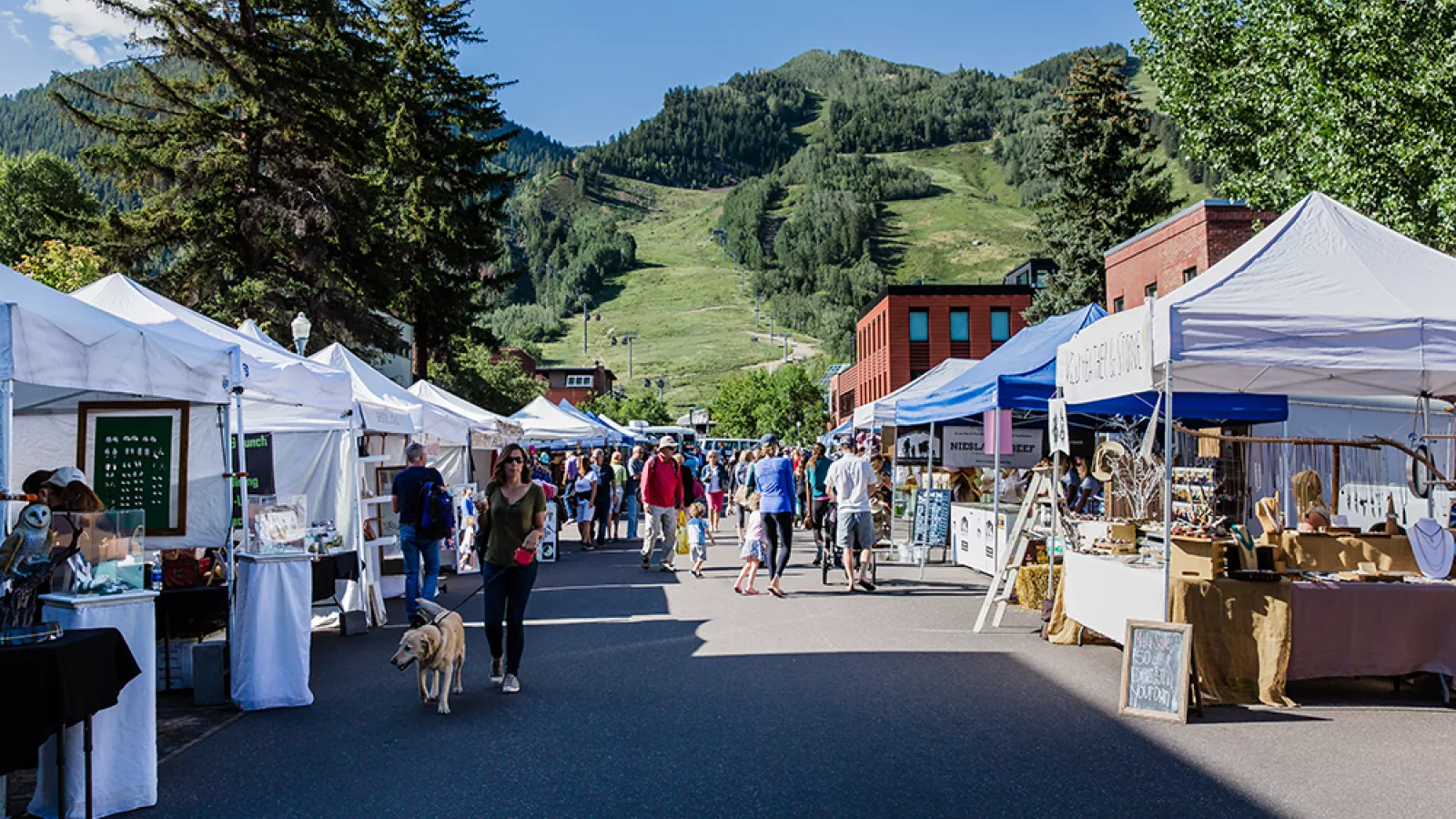 This image showcases a vibrant outdoor community street fair set in a charming town with a stunning mountain backdrop. The scene features rows of white vendor tents, wide walkways, and a bustling atmosphere with pedestrians and a dog, highlighting an active and engaging neighborhood lifestyle. This location provides a high-quality community amenity that appeals to potential buyers looking for a lively and scenic setting.