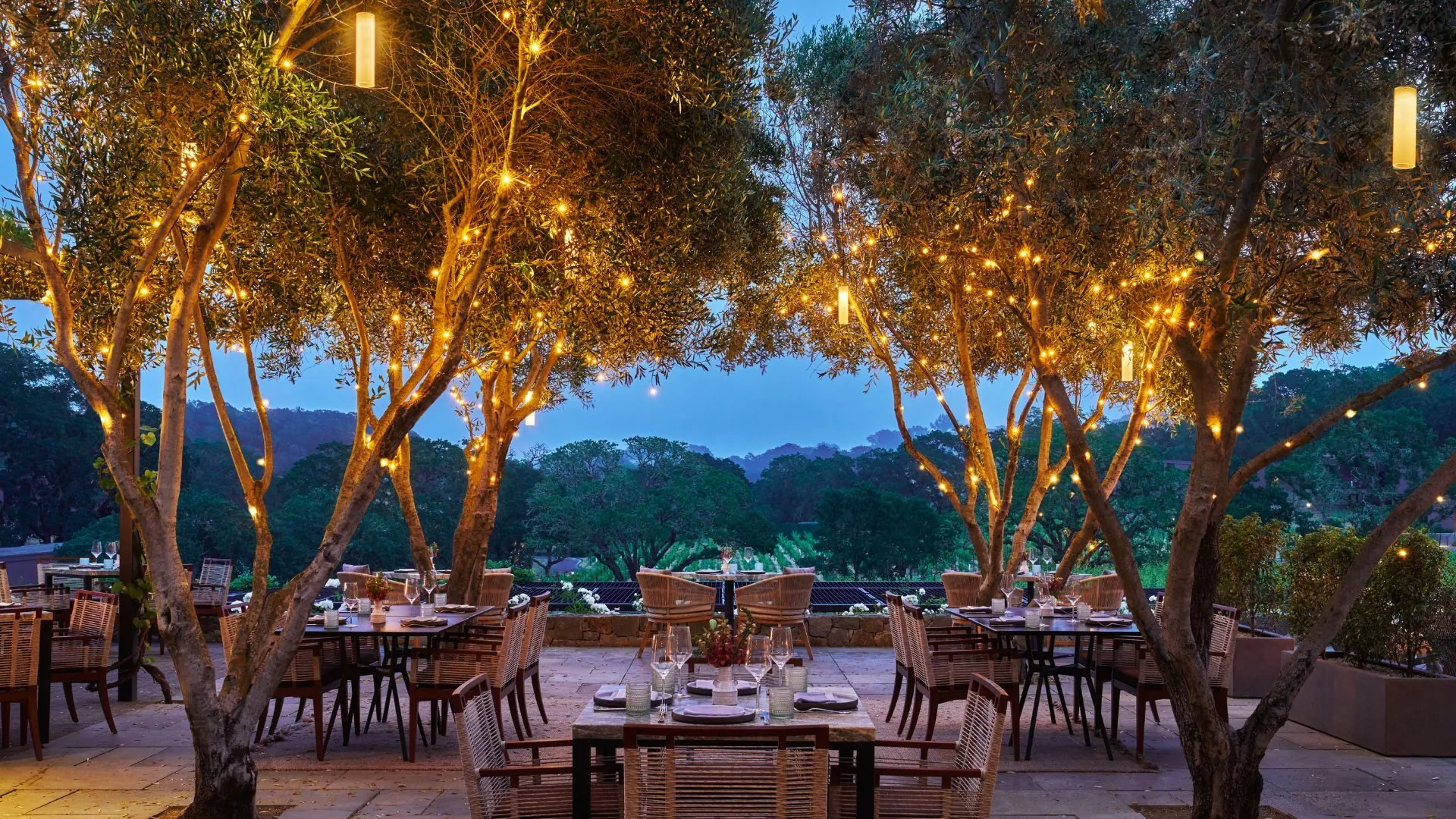 This elegant outdoor dining terrace is set beneath a canopy of illuminated olive trees, creating an intimate and sophisticated atmosphere. The patio features multiple dining setups with wicker chairs, overlooking rolling hills and a vineyard in the distance. The combination of ambient string lighting and the scenic landscape makes this an ideal space for luxury outdoor entertaining.