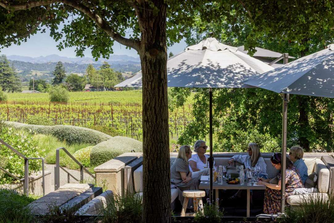 This outdoor patio area offers a scenic and refined setting for social gatherings, featuring comfortable lounge-style seating tucked under the shade of mature trees and large umbrellas. The space overlooks a lush, expansive vineyard with rolling hills in the background, creating a serene and exclusive atmosphere perfect for wine tasting or relaxation. The integration of comfortable furnishings with the natural, picturesque landscape makes this a highly desirable feature for a luxury or wine-country property.