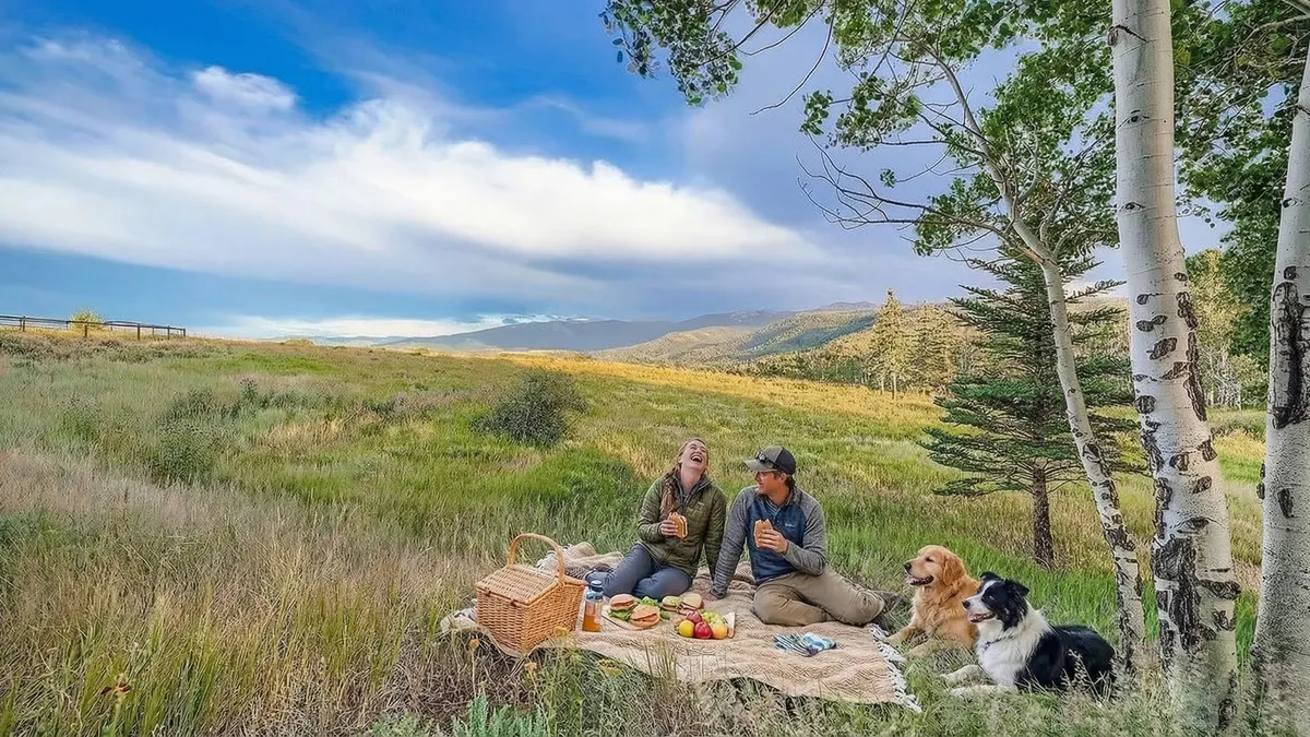 This image showcases an expansive yard or garden area, suggesting ample outdoor space for recreation and relaxation. A couple is enjoying a picnic with their dogs, implying a serene and private setting. The natural landscape, possibly located near mountainous terrain, adds to the property's appeal, highlighting potential for outdoor activities and connection with nature.
