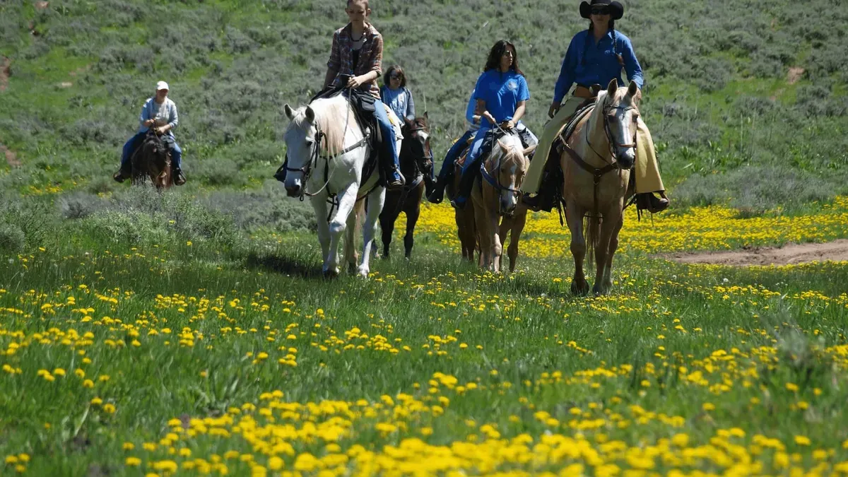 This image showcases a lush, grassy yard filled with yellow wildflowers, suggesting a vibrant and inviting outdoor space. Several people are horseback riding through the field, implying that the property has ample space for recreation and access to trails. The scene conveys a sense of tranquility and immersion in nature, appealing to buyers seeking a rural or equestrian property.