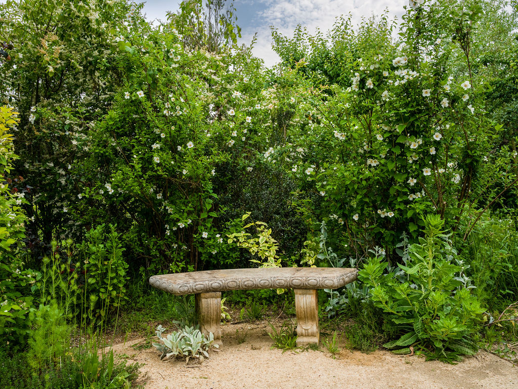 This peaceful garden setting features a weathered stone bench nestled in front of lush, blooming jasmine bushes. The sandy ground and mature greenery create a tranquil, secluded retreat perfect for a relaxing outdoor space. It offers a classic, natural aesthetic that adds charm and curb appeal to a property.