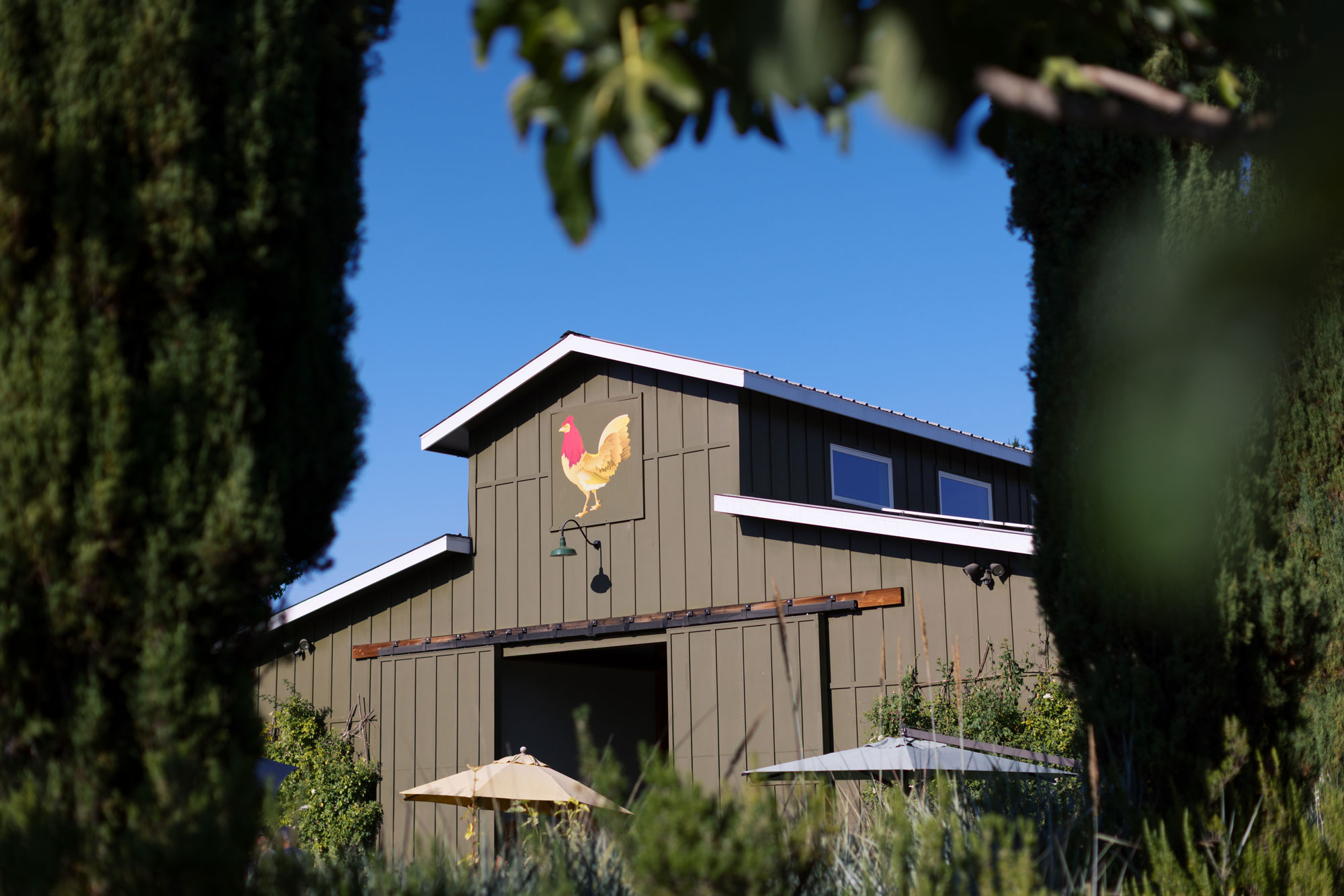 This charming barn-style building features a distinctive olive-green vertical siding and a prominent rooster mural on the gable end. The structure includes sliding barn doors, modern upper windows, and is framed by mature cypress trees, creating a welcoming and rustic aesthetic. It appears to be an appealing venue or outbuilding set within a landscaped outdoor space, accented by patio umbrellas in the foreground.