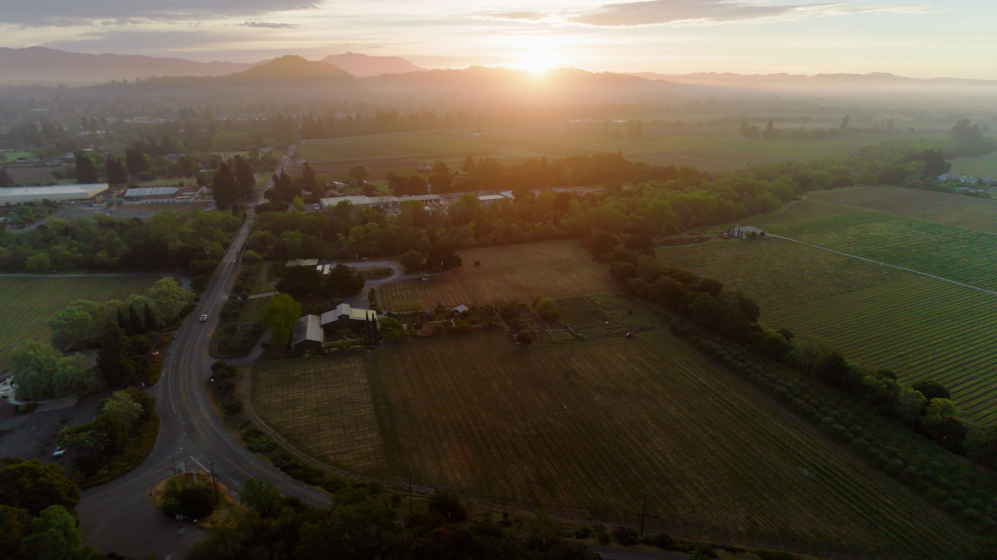 This stunning aerial view captures a sprawling countryside estate surrounded by rolling vineyards and lush trees at sunrise. The property features a rustic main residence with outbuildings, set against a backdrop of distant, mist-covered mountains. The expansive landscape offers a serene, picturesque setting that highlights the significant acreage and peaceful rural lifestyle potential of the property.