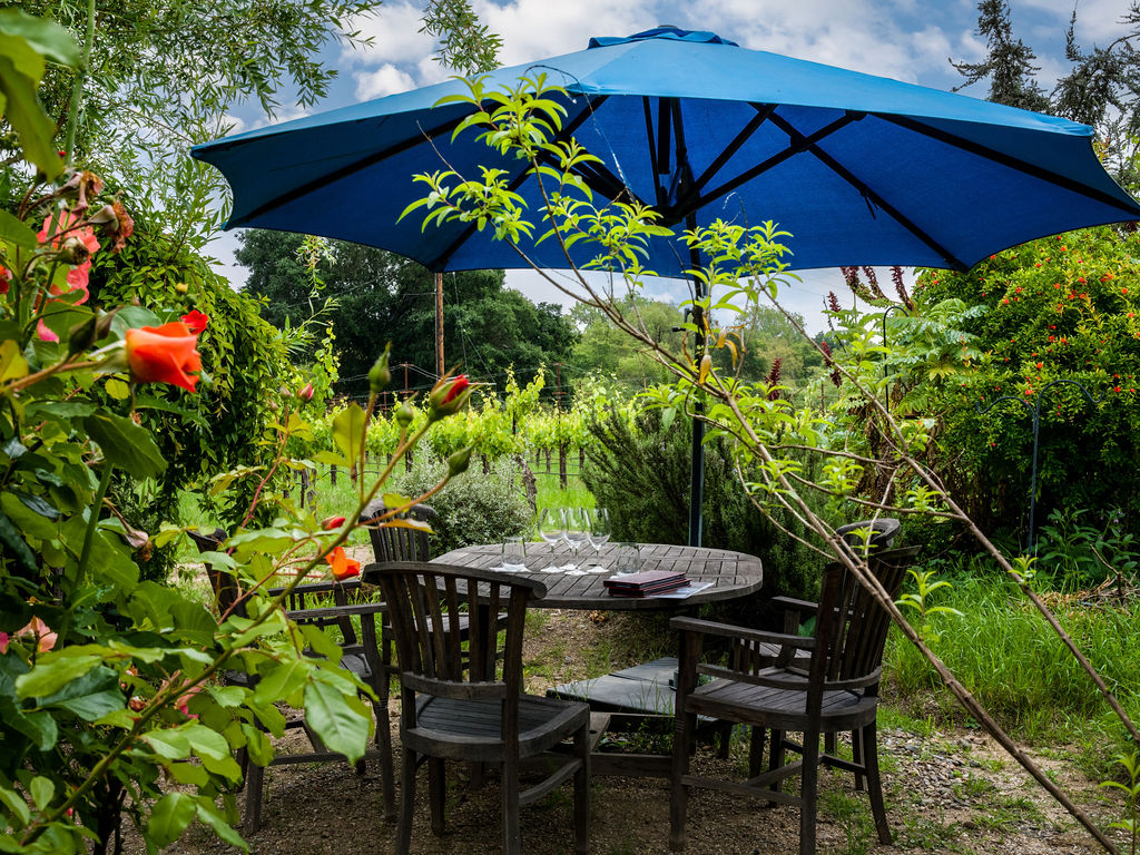 This charming outdoor seating area features a wooden patio table set under a large blue umbrella, surrounded by lush garden greenery and vibrant rose bushes. In the background, a scenic vineyard adds to the tranquil and picturesque atmosphere, suggesting an ideal space for relaxing or dining al fresco. The setting highlights a peaceful, well-maintained landscape that enhances the property's overall appeal.
