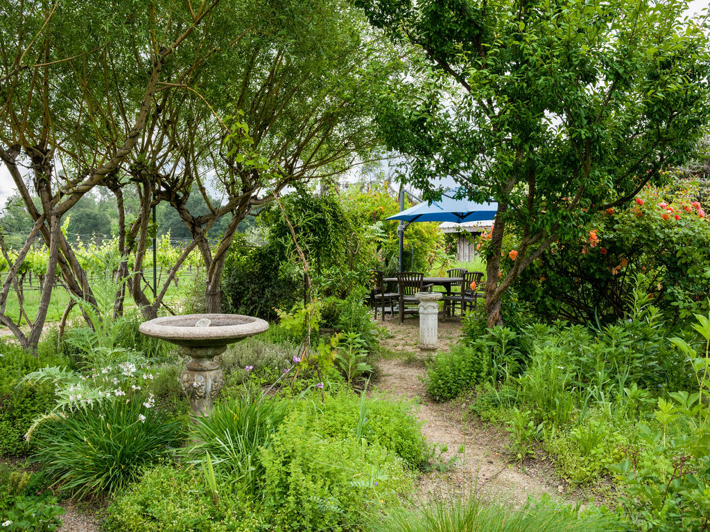 This lush, inviting garden features a stone birdbath in the foreground and a gravel path leading to a shaded seating area under a blue patio umbrella. The landscape is rich with mature trees, blooming rose bushes, and dense, varied foliage, creating a serene and private atmosphere. This outdoor space offers a picturesque setting ideal for relaxation or intimate gatherings.