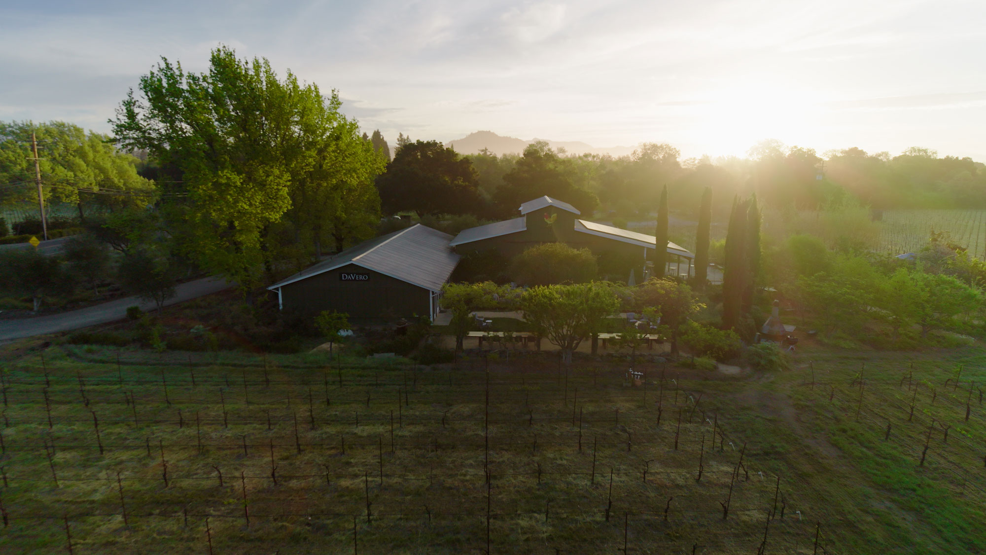 This aerial view showcases a rustic, countryside estate featuring a sprawling dark-sided barn-style building labeled 'DAVERO' surrounded by vibrant vineyards and lush trees. The setting is bathed in the warm, golden light of either sunrise or sunset, creating a serene and inviting atmosphere. The well-maintained grounds, including a landscaped patio area, suggest an elegant winery or a picturesque rural property ideal for outdoor gatherings.