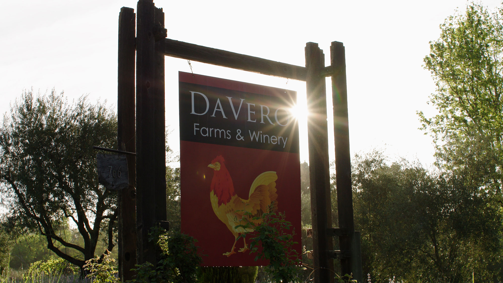 This image features a rustic, wooden-framed sign for 'Davero Farms & Winery,' set against a sun-drenched outdoor backdrop with mature trees. The sign showcases a prominent rooster illustration, emphasizing a farm-to-table aesthetic, and includes a small hanging plaque marked with the number 766. It serves as an inviting and characteristic marker for the property's entrance.
