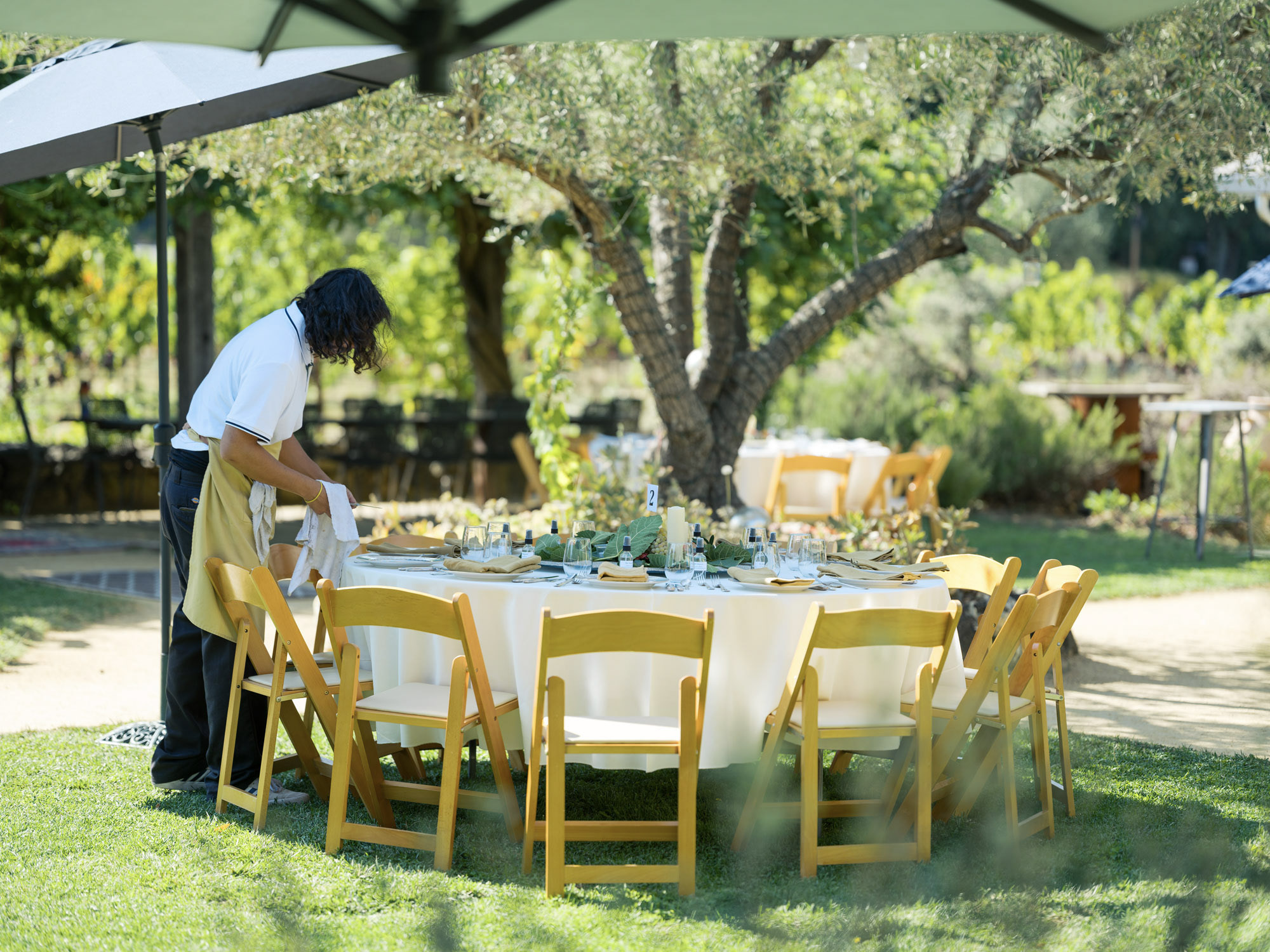 An outdoor event space set on a grassy lawn features round dining tables arranged for an upscale al fresco gathering. A staff member is seen preparing a table under the shade of mature olive trees, suggesting a well-maintained venue perfect for weddings or corporate functions. The serene vineyard-like atmosphere provides an elegant and inviting setting for communal dining.