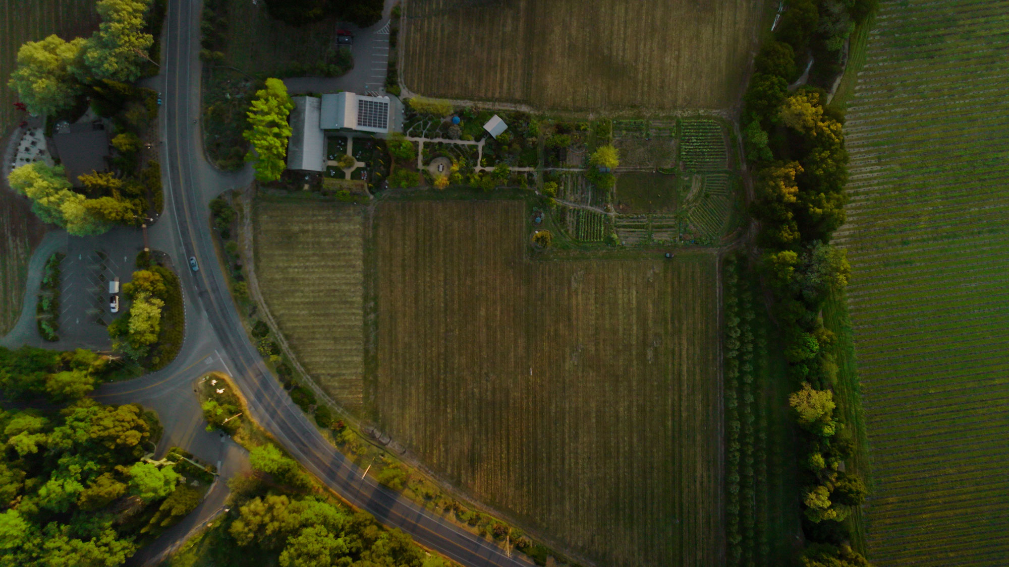 This stunning aerial view captures a sprawling property featuring a large residence with solar panels, an intricate garden, and extensive agricultural land or vineyards. The landscape is bordered by a winding road on one side and dense, mature trees, providing a sense of seclusion and rural charm. The scene offers a clear perspective of the estate's generous layout and its integration within the surrounding natural environment.