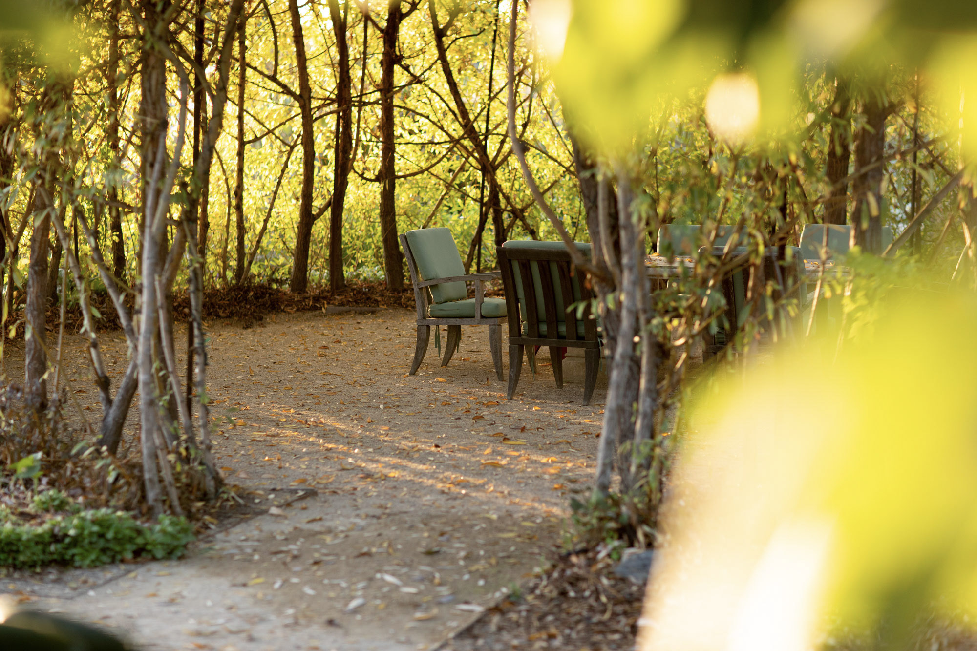 This serene garden setting features a gravel patio area nestled among lush, mature trees, providing a private and tranquil outdoor space. Comfortable outdoor dining furniture is arranged on the ground, making it an inviting spot for relaxation or al fresco meals. The dappled sunlight filtering through the canopy creates an appealing and peaceful atmosphere characteristic of a well-maintained residential backyard.