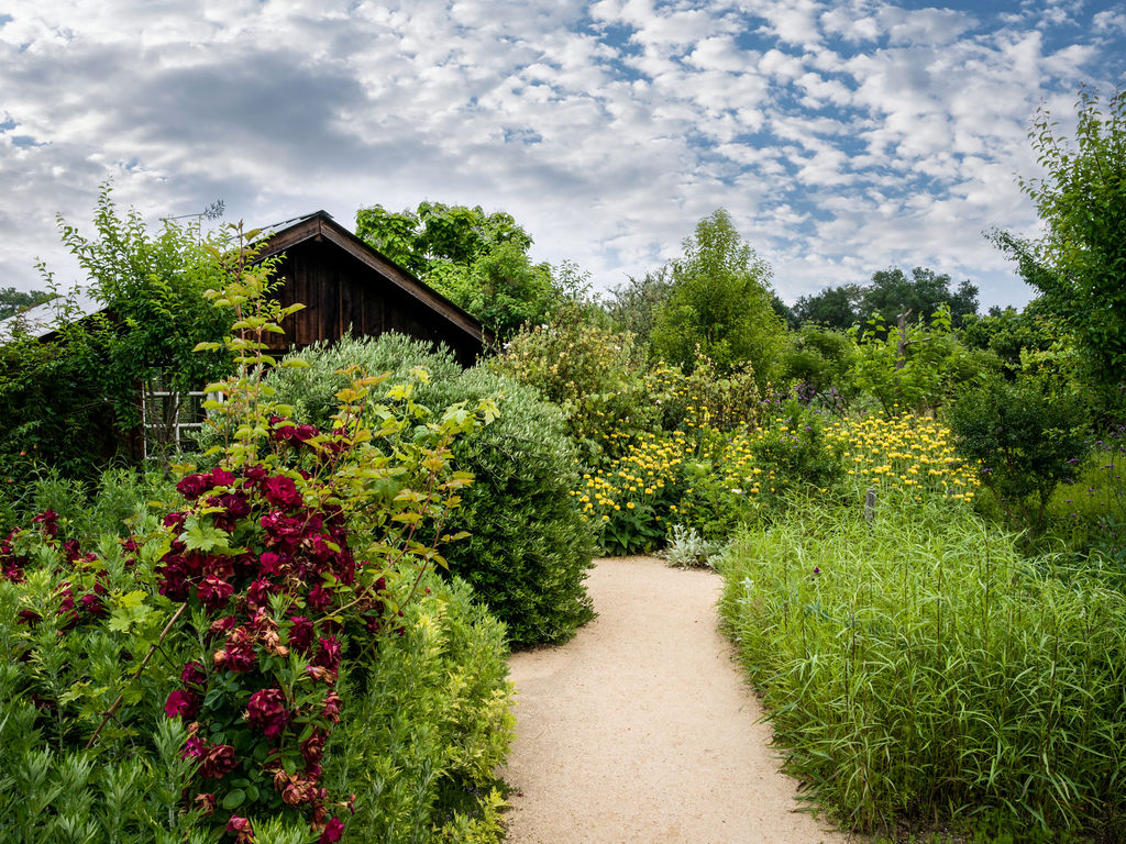 This picturesque garden scene features a winding gravel pathway lined with lush greenery, vibrant red roses, and blooming yellow flowers. A rustic wooden shed nestles quietly among the trees in the background, enhancing the tranquil, cottage-style atmosphere. The landscape is well-maintained and provides a serene, private outdoor retreat.