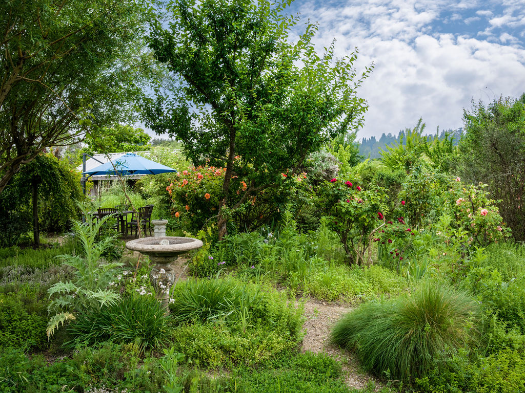 This lush and vibrant garden features a stone birdbath as a focal point, surrounded by dense plantings, flowering shrubs, and mature trees. A small gravel path winds through the greenery, leading toward a secluded outdoor seating area shaded by a blue umbrella. The overall impression is one of a tranquil, mature cottage-style garden perfect for private outdoor relaxation.