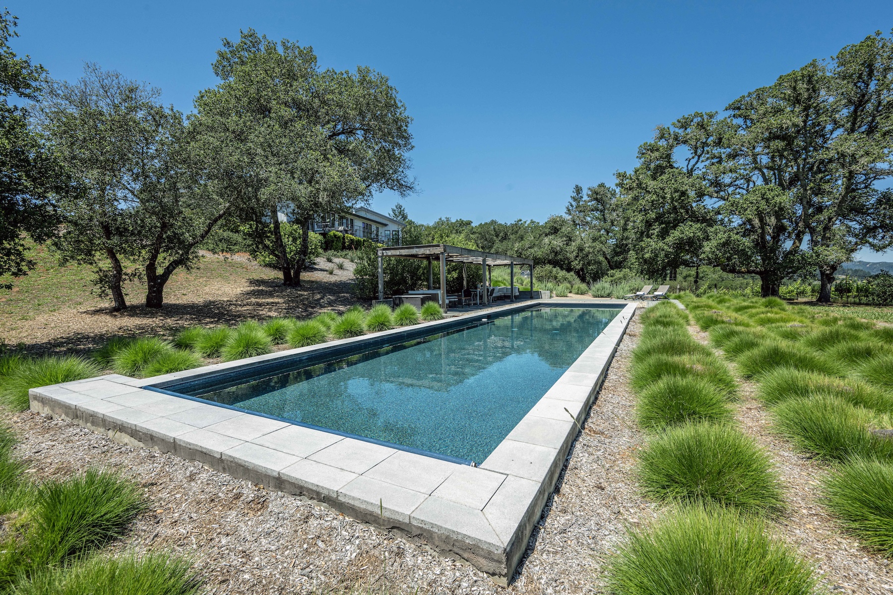 This serene outdoor space features a long, rectangular swimming pool set within a landscape of manicured ornamental grasses and gravel pathways. A wooden pergola structure provides a shaded lounge area in the background, while mature oak trees frame the property under a clear blue sky. The perspective is a low-angle shot from the edge of the pool deck, emphasizing the clean lines and tranquil, resort-like atmosphere of the backyard.