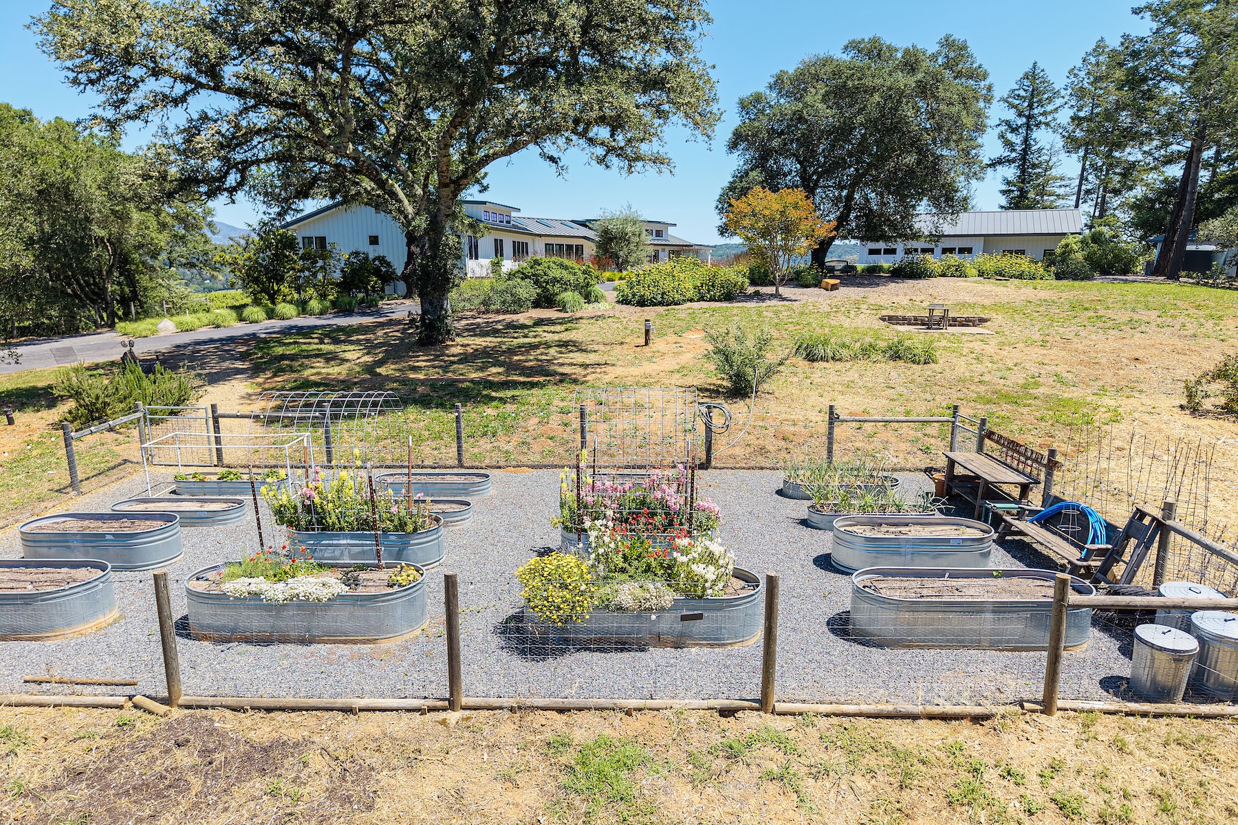 This elevated view captures a well-maintained garden featuring multiple galvanized steel raised beds filled with vibrant flowers and greenery. The garden is enclosed by a simple wooden fence and set against a backdrop of mature oak trees and a modern, light-colored residential structure. The scene conveys a peaceful, rural lifestyle with ample space for outdoor gardening and relaxation.