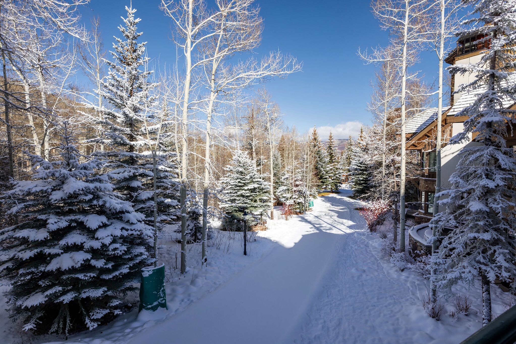 This tranquil outdoor area features a snow-covered walking path surrounded by a lush forest of snow-dusted evergreen and aspen trees. The scene captures a serene winter landscape adjacent to a residential building, emphasizing the natural beauty and calm atmosphere of the property's surroundings. The clear blue sky adds a bright, inviting contrast to the wintry environment, suggesting a peaceful mountain setting.