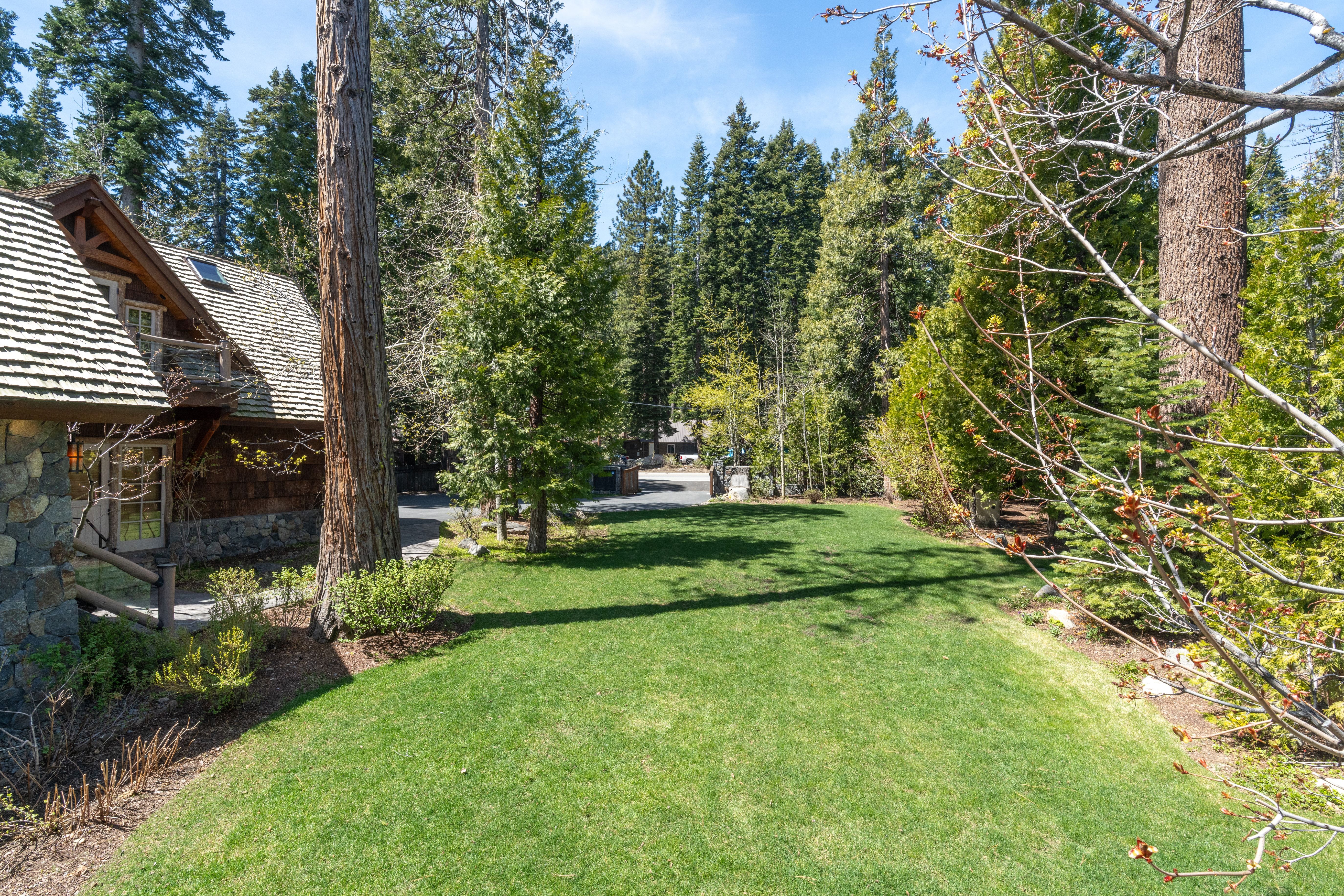 This image showcases a lush, manicured green lawn extending from a rustic, stone-and-wood-sided mountain home. Tall, dense evergreen trees surround the property, creating a serene and private forested atmosphere. The scene captures the beauty of an expansive backyard and the inviting natural landscape of the mountainside setting.