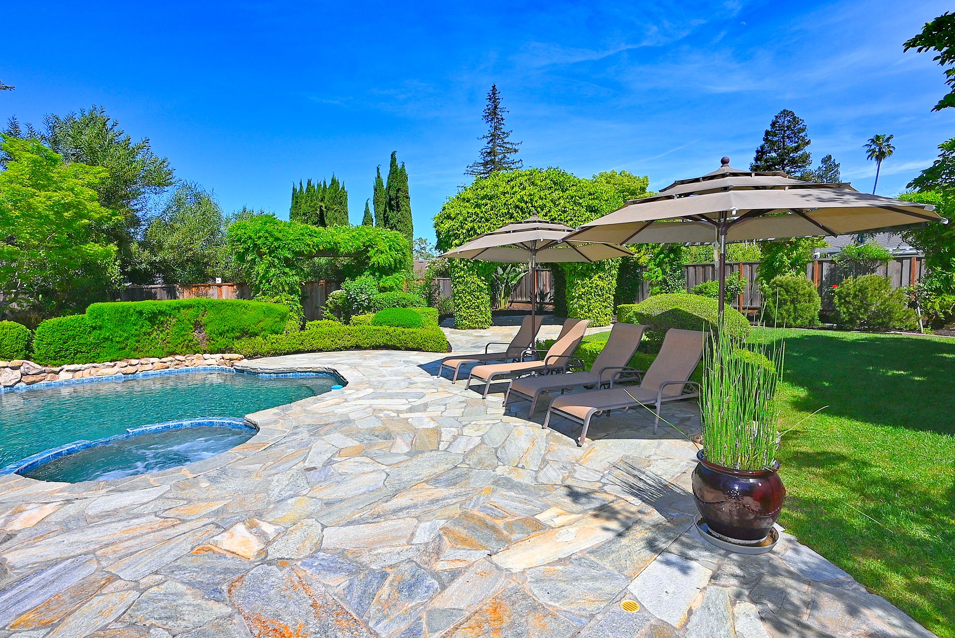 This stunning backyard oasis features a freeform swimming pool with an integrated spa, surrounded by natural stone pavers. The area is well-appointed for relaxation with multiple lounge chairs arranged under large patio umbrellas, all nestled within a lush, meticulously landscaped garden. The setting offers an inviting and private atmosphere perfect for outdoor entertaining.