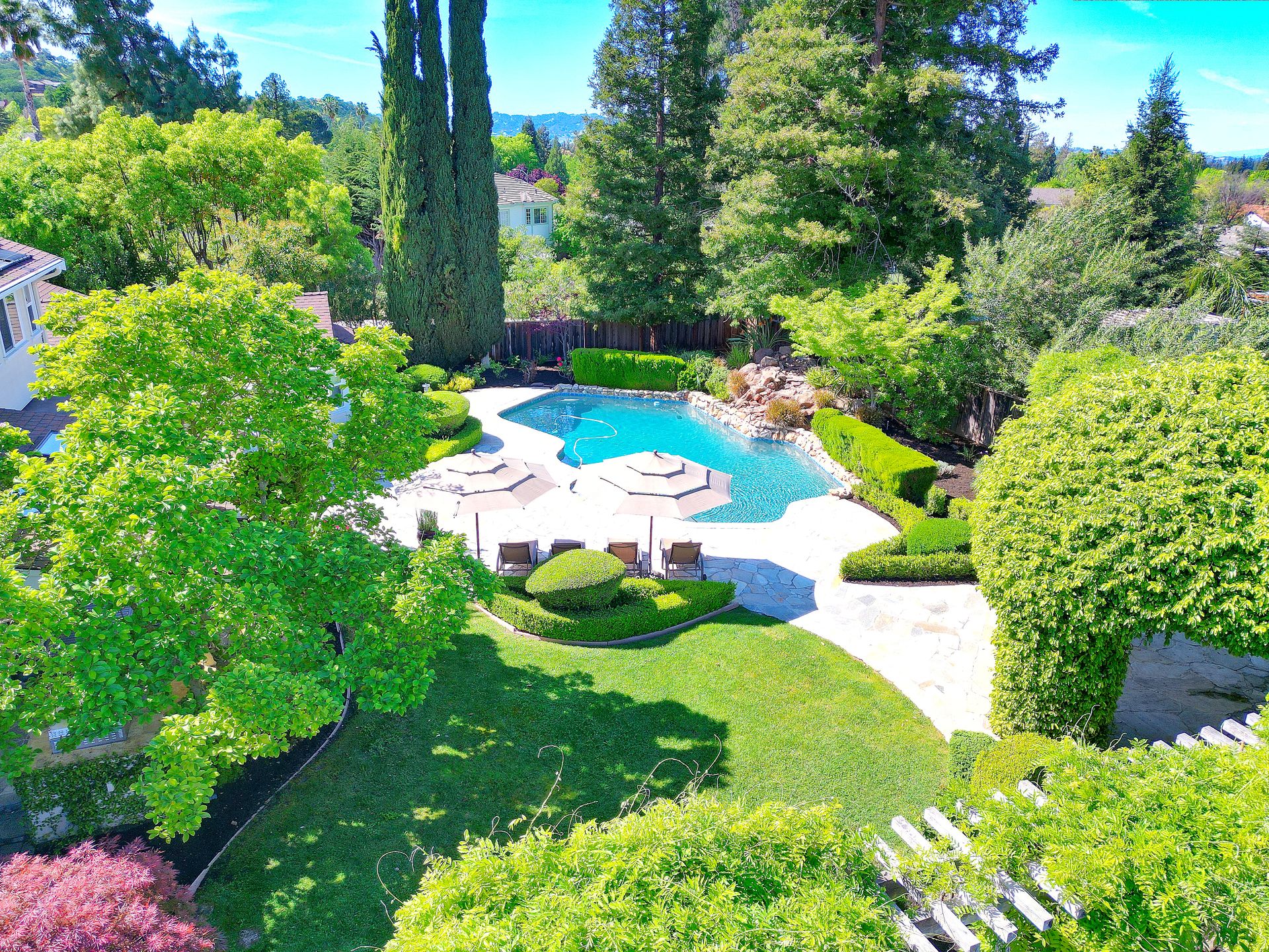 This high-angle, aerial perspective captures a beautifully landscaped backyard featuring a freeform swimming pool surrounded by a stone patio. The space is lush with vibrant green grass, manicured hedges, and mature trees, offering an inviting and tranquil retreat. Tall privacy hedges and elegant topiary elements define the property's perimeter, showcasing a sophisticated and well-maintained outdoor living area.