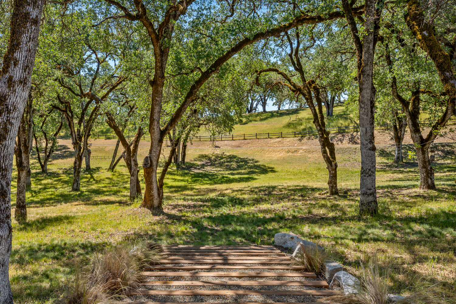 This picturesque outdoor area features a rustic wooden boardwalk path winding through a serene grove of mature, moss-covered oak trees. The property showcases a gently rolling, sun-dappled lawn bordered by a simple post-and-rail fence in the background, creating a tranquil and expansive natural setting. The combination of gentle terrain and abundant shade provides an inviting atmosphere for relaxation or outdoor activities.