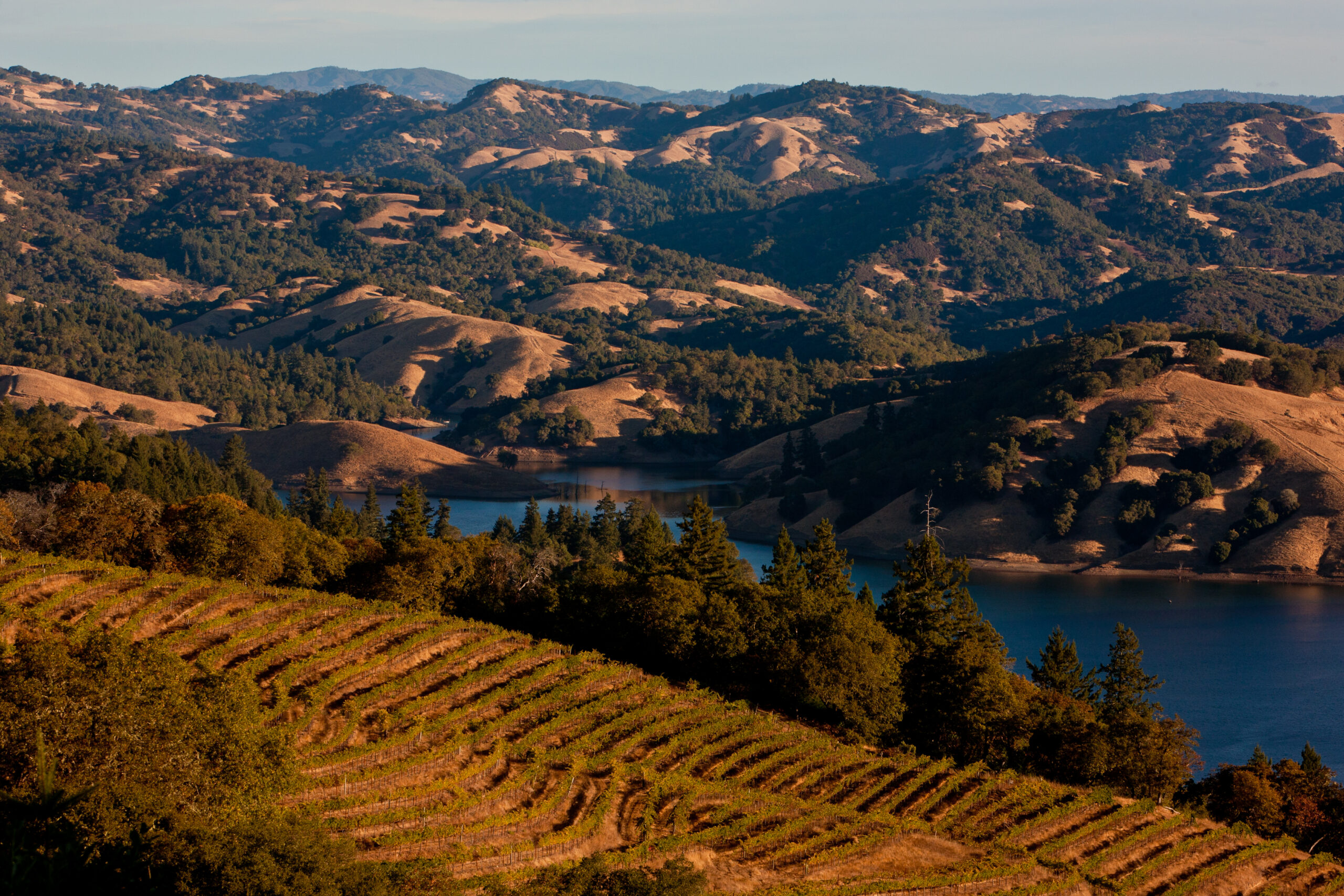 This stunning elevated view highlights a sprawling vineyard nestled on a hillside overlooking a tranquil lake and rolling mountain ranges. The landscape features a mix of golden, sun-drenched hills and lush evergreen forests, providing a picturesque and serene countryside setting. The image evokes a sense of expansive, premium property potential, ideal for a private estate or vineyard investment.