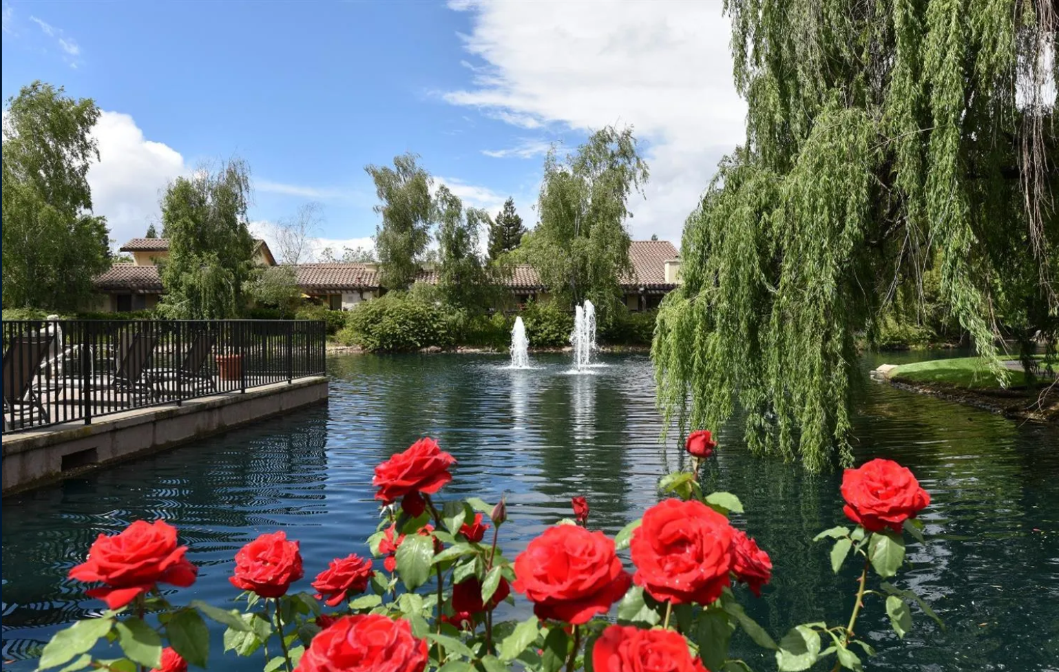 This scenic community area features a placid pond with dual water fountains, surrounded by lush landscaping and a weeping willow tree. In the foreground, vibrant red roses create a picturesque border, while a nearby fenced patio area provides a tranquil viewing space. The setting offers a peaceful and well-maintained outdoor recreation atmosphere perfect for a residential community.