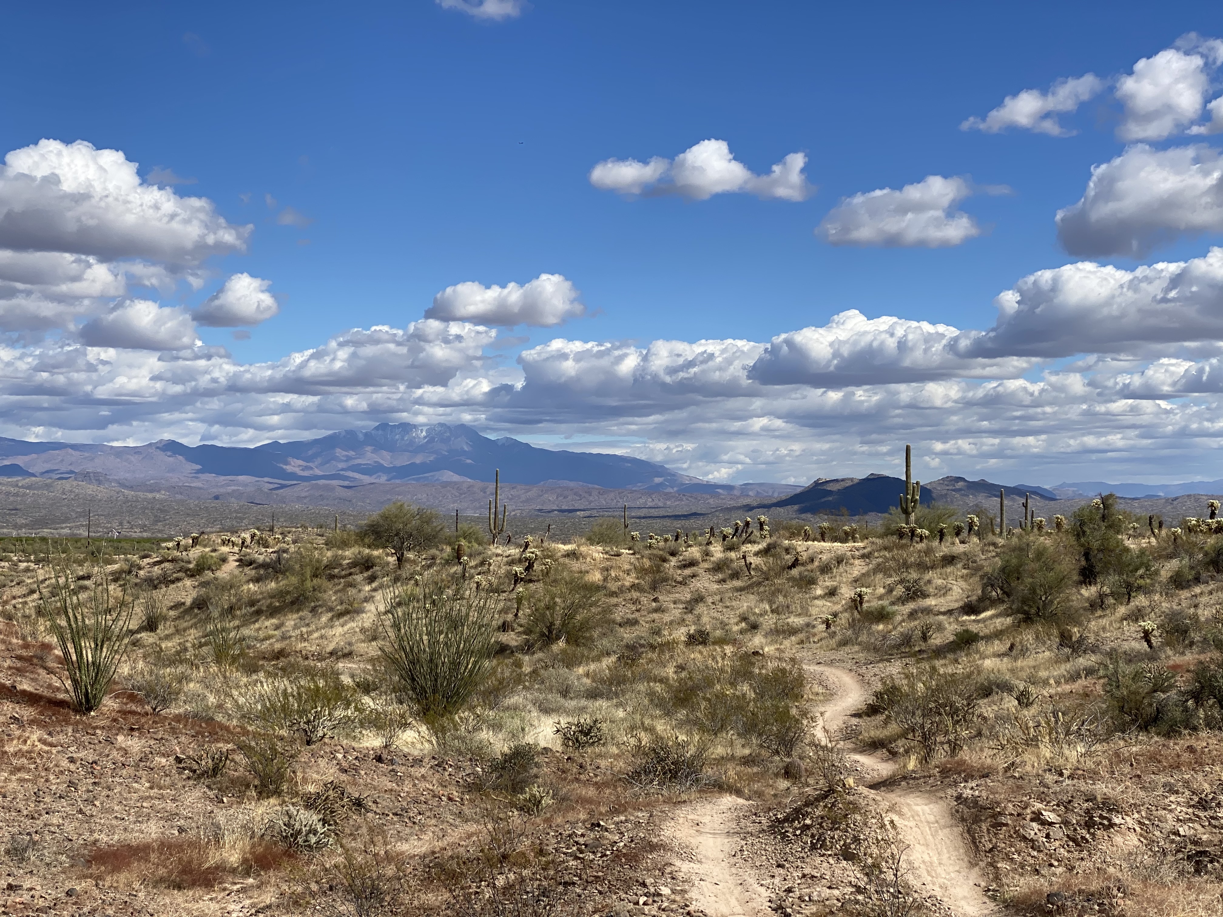 This image features a scenic desert landscape showcasing a natural dirt trail winding through native cacti and brush. The backdrop presents a majestic mountain range under a bright, cloudy sky, highlighting the expansive outdoor recreational opportunities available in the surrounding community. This tranquil setting is ideal for buyers interested in hiking, biking, and a scenic, nature-oriented lifestyle.
