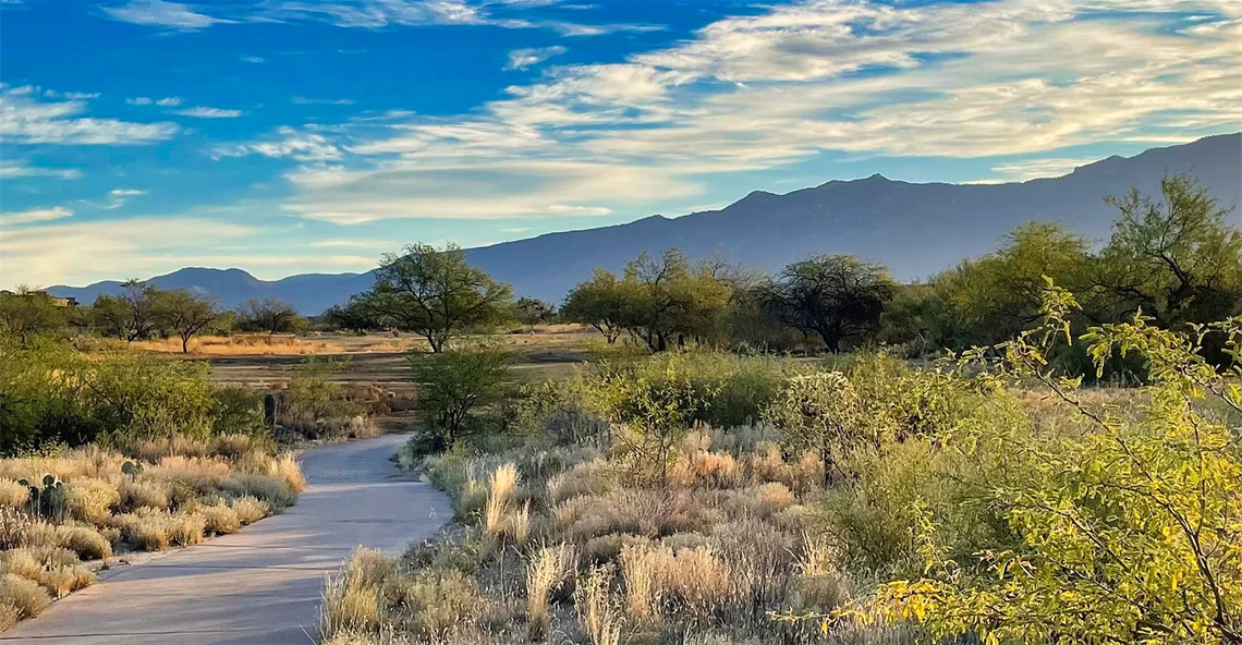 This scenic image captures a beautifully landscaped community walking path winding through a natural desert park. Featuring native desert vegetation and sweeping views of distant mountain ranges, this amenity provides an inviting, tranquil space for outdoor recreation. The setting highlights the desirable natural surroundings and lifestyle appeal of the community.
