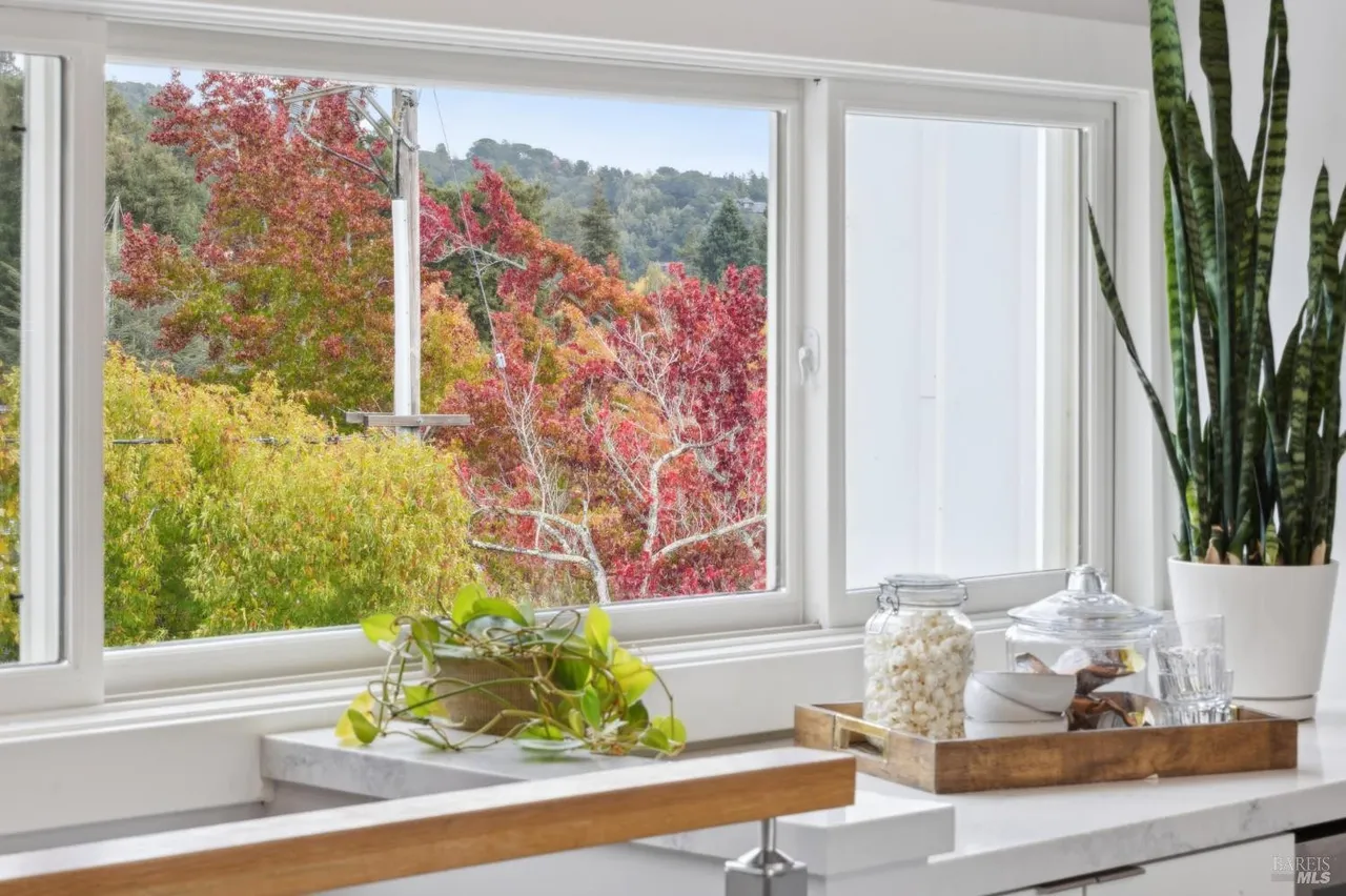 This image showcases a bright kitchen interior with a focus on the window view. The window overlooks lush, colorful trees, bringing an element of nature indoors. The countertop features decorative items such as plants and glass jars, adding a touch of homeliness to the space.