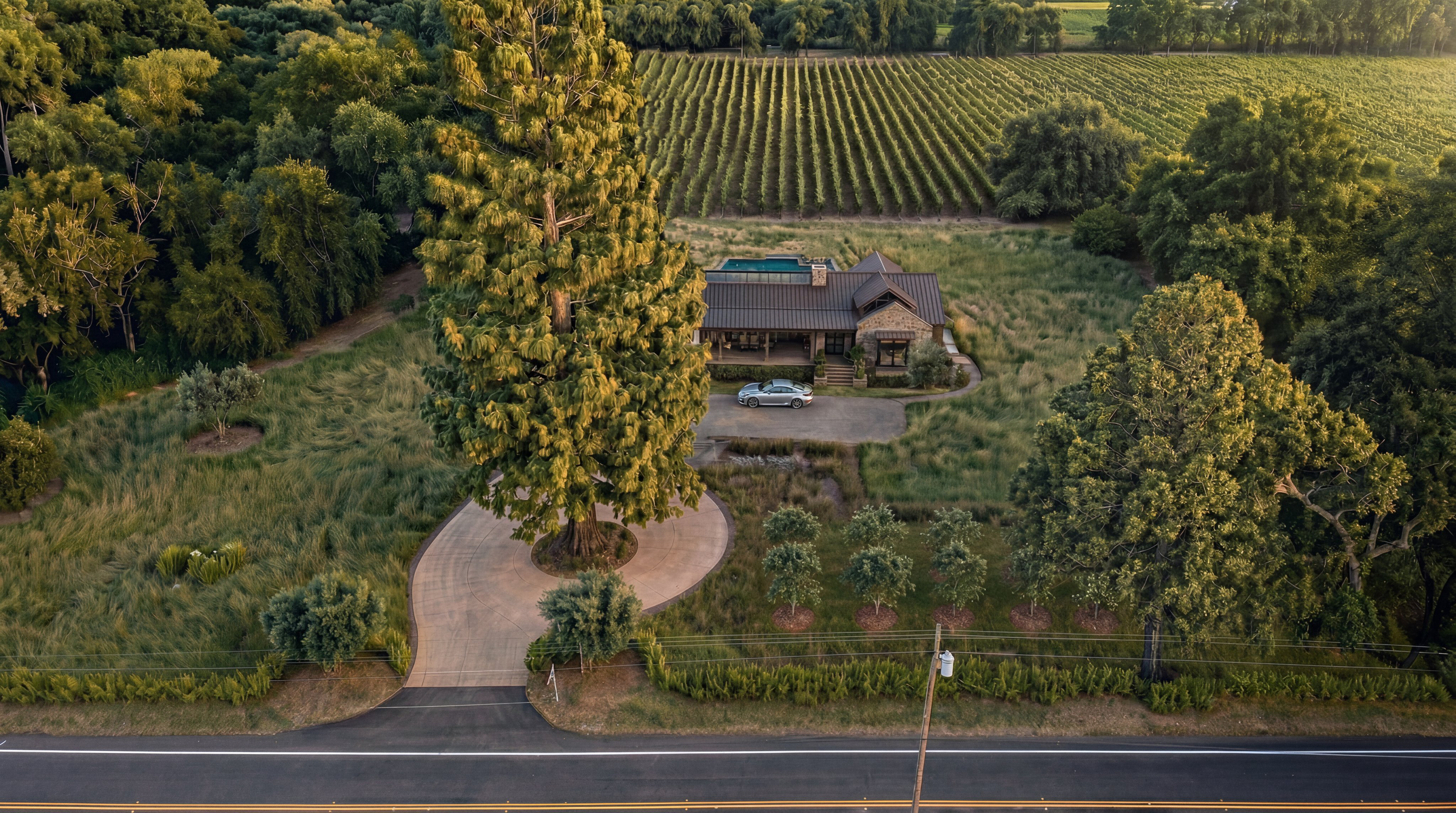 This stunning aerial view captures a contemporary farmhouse-style estate nestled within a lush, expansive landscape featuring a private vineyard and a prominent, mature tree providing shade near the circular driveway. The property boasts a sleek, modern pool situated behind the home, surrounded by thick, natural grasses and dense surrounding forests that ensure privacy. The combination of rural charm, sophisticated architecture, and agricultural assets highlights this property's unique appeal as a luxury retreat.