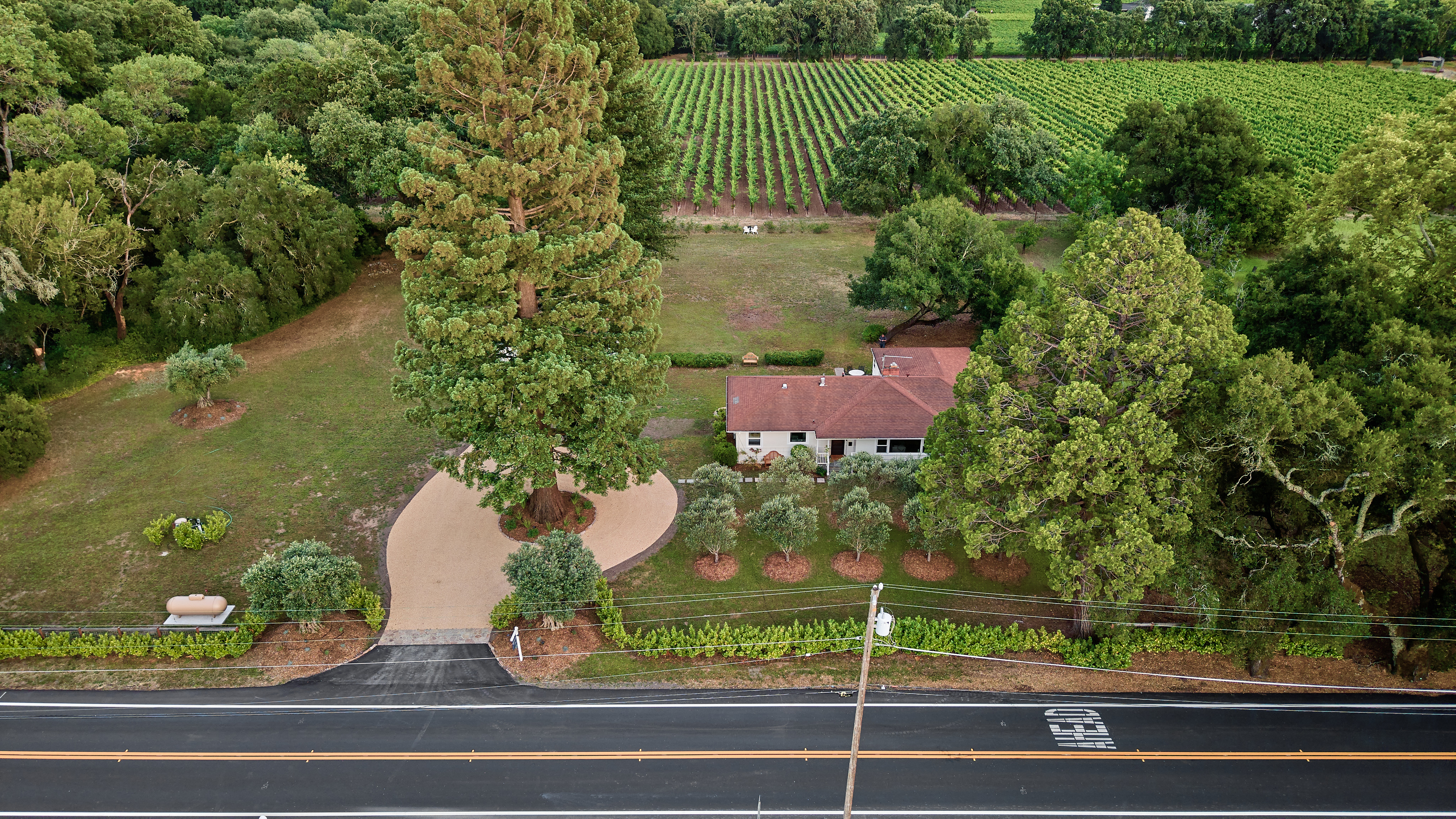 This aerial view showcases a residential property set against a scenic backdrop of sprawling vineyards. The home features a brown roof and is surrounded by lush landscaping, mature trees, and a circular gravel driveway. The property offers a serene, rural ambiance with ample yard space, ideal for those seeking tranquility within a productive agricultural setting.