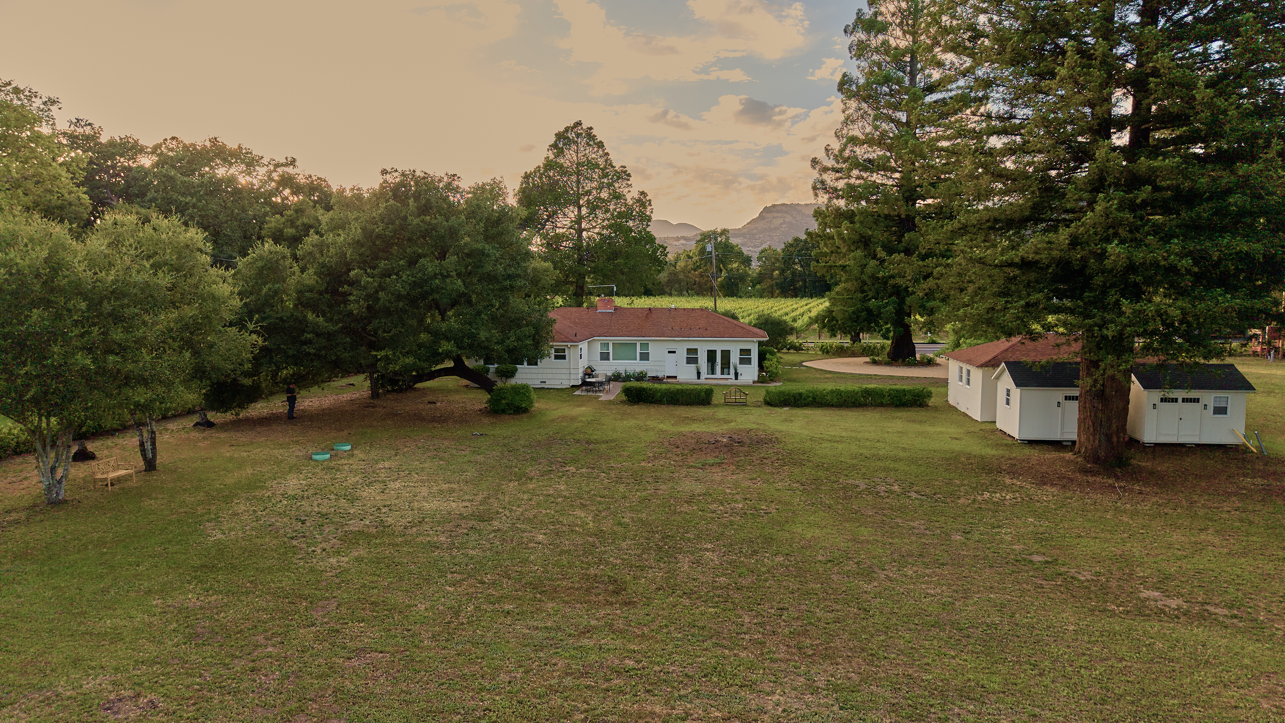 This spacious single-story home is captured from an elevated perspective, showcasing a sprawling, well-maintained lawn and mature trees on a tranquil, rural-adjacent property. The rear exterior features a clean white facade with traditional lines, complemented by separate small storage structures and a vineyard visible in the background. It offers a peaceful, private lifestyle with significant outdoor potential.