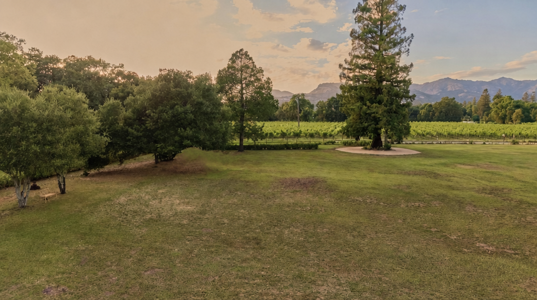 This expansive rural property features a large, open grassy lawn bordered by mature trees and a scenic vineyard in the background. With distant mountain views and a peaceful, natural setting, the space offers significant privacy and scenic appeal. It is an ideal outdoor area perfect for garden landscaping or recreation.