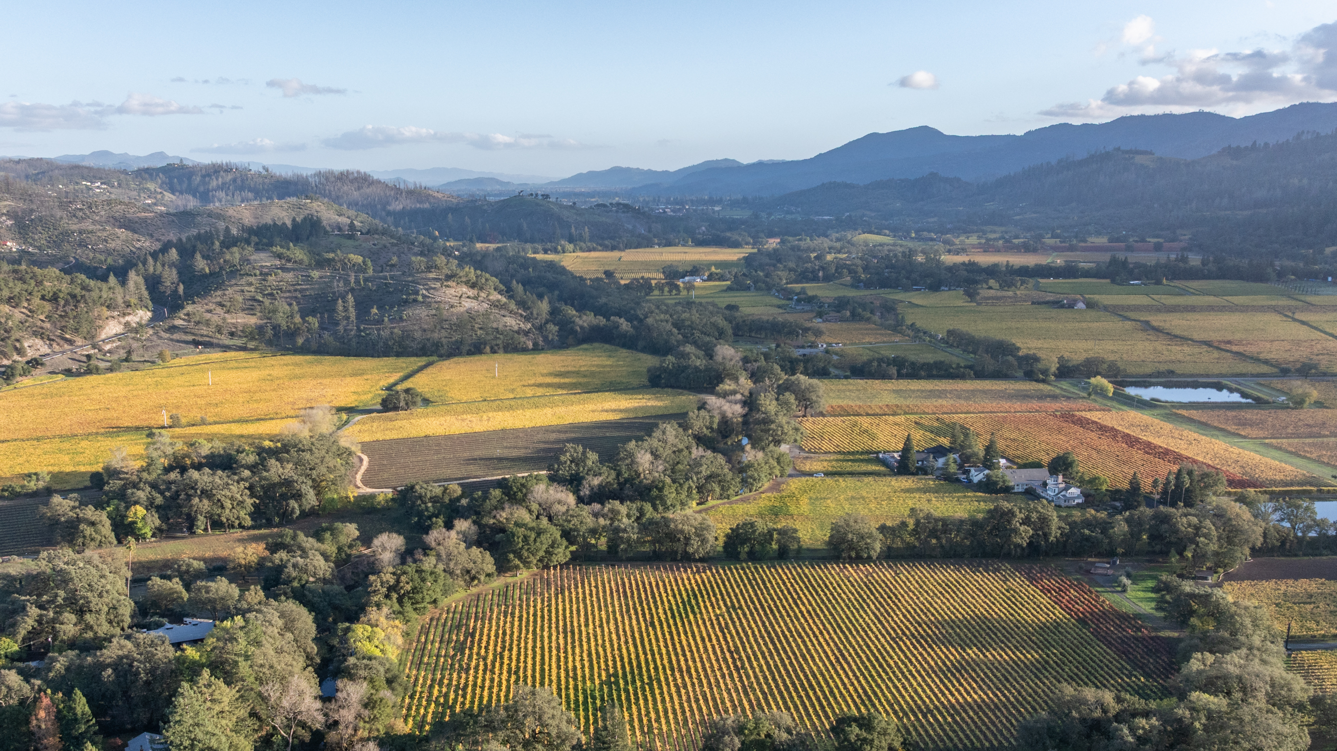 This stunning aerial view highlights a sprawling valley vineyard during the autumn season, characterized by vibrant shades of gold, orange, and green. The landscape features meticulously organized rows of grapevines, interspersed with lush groves of trees and a small private residential cluster. The serene setting against the backdrop of rolling mountains offers a quintessential representation of premium wine country real estate.