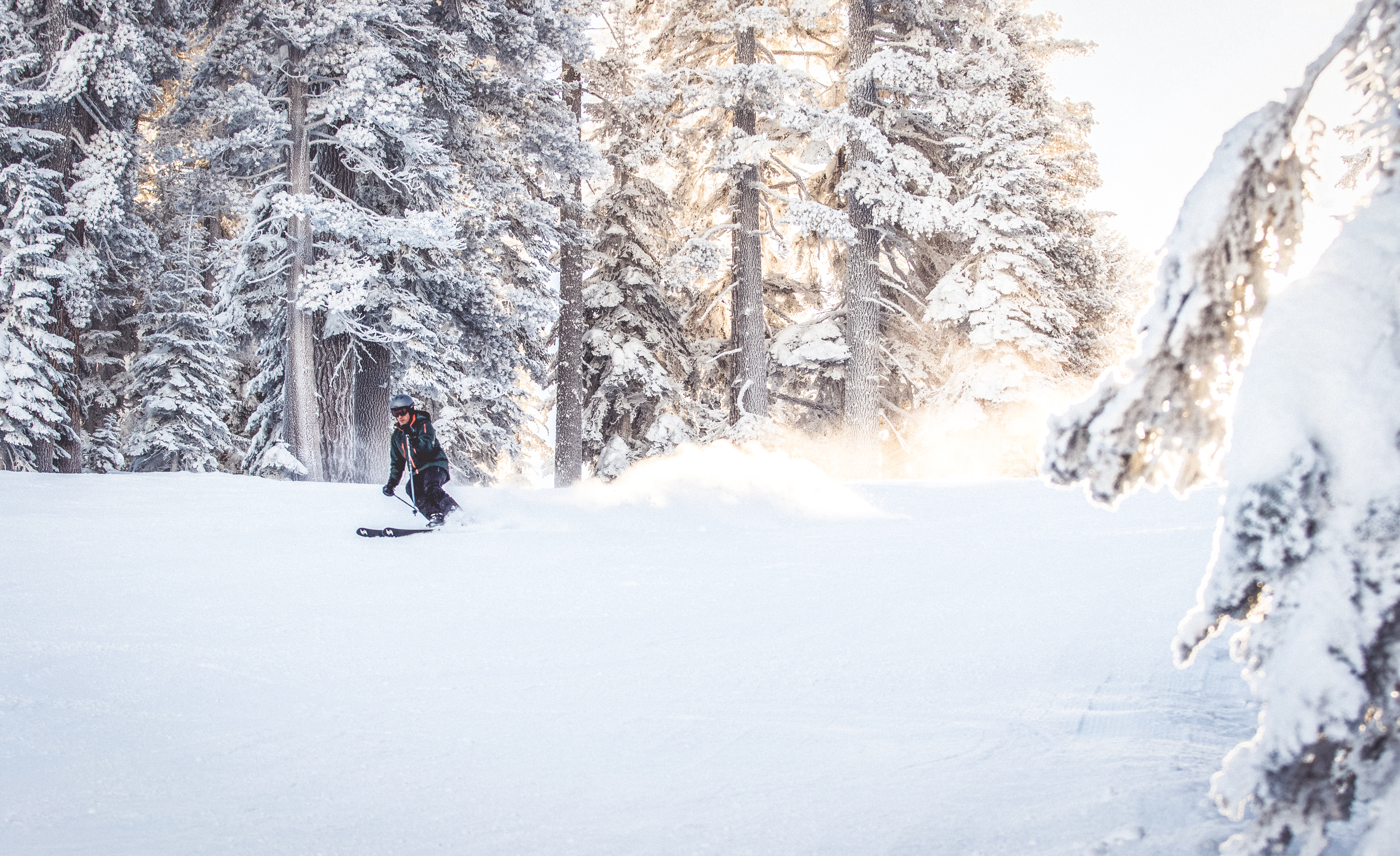 This image depicts a skier navigating through a snow-covered alpine forest, showcasing the snowy landscape of a mountain property or community. The scene emphasizes the winter recreational opportunities available in the area, highlighting the scenic beauty and natural surroundings. Ideal for showcasing lifestyle amenities in a mountain-based real estate listing.