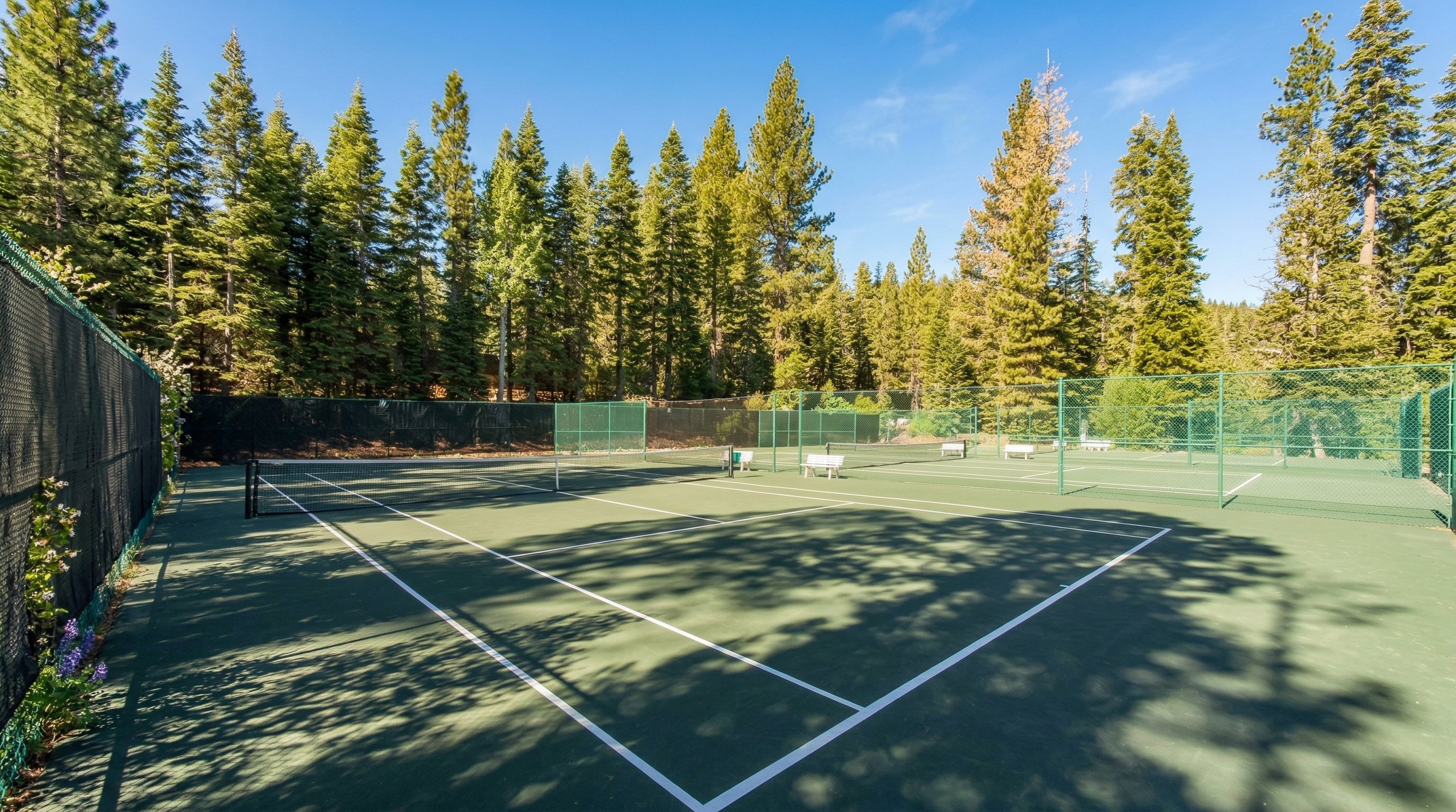 This image features a well-maintained, fenced tennis court nestled in a serene, forested area surrounded by tall pine trees. The court includes benches for players, a clear net, and crisp white boundary lines, making it an excellent recreational facility. The setting provides a quiet, peaceful atmosphere suitable for outdoor activities.