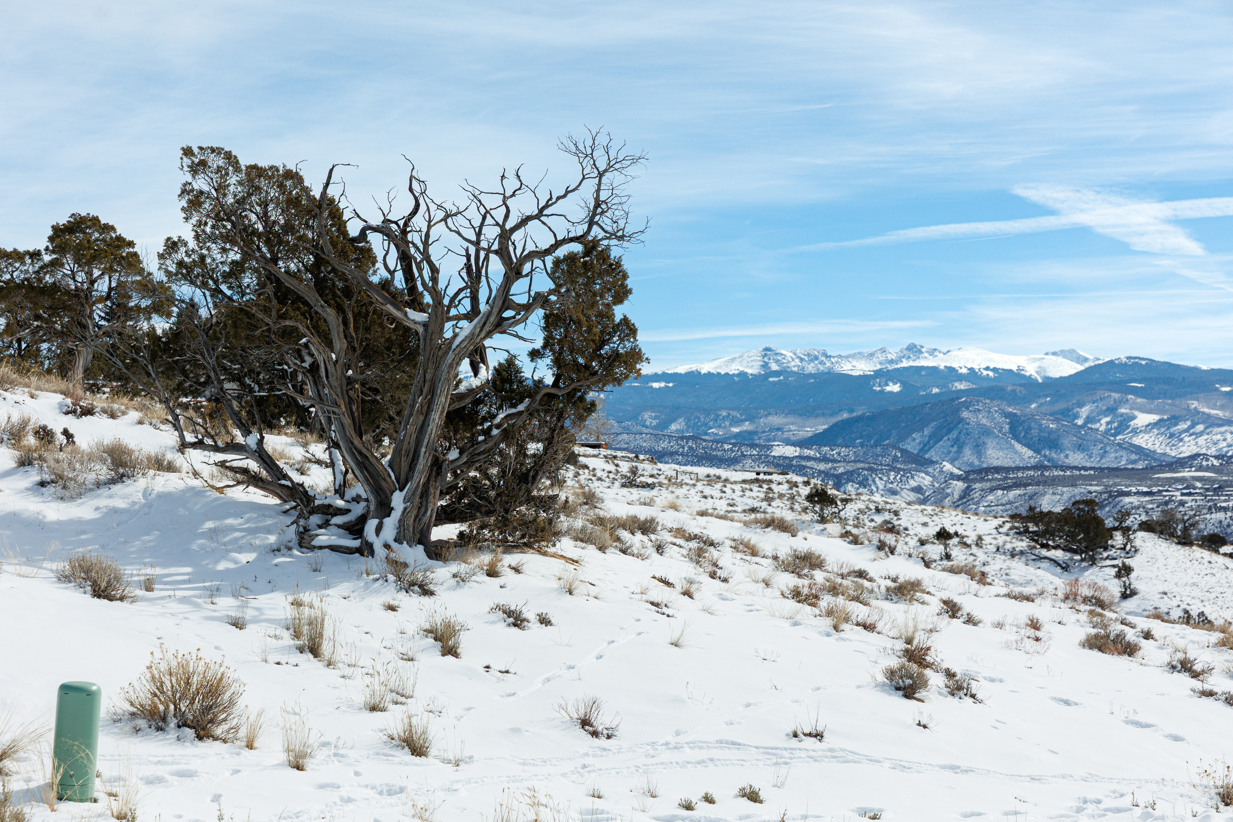This image showcases a snow-covered landscape with various trees and shrubs, suggesting a spacious and natural yard area. In the background, a mountain range is visible under a bright, partly cloudy sky, enhancing the sense of scenic surroundings. The overall impression is that of a tranquil and potentially private outdoor space, possibly as part of a larger residential property.