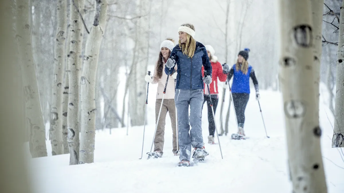 A group of women are snowshoeing through a snowy birch forest. The scene illustrates outdoor recreational opportunities and the natural beauty of the area. Ideal for attracting potential buyers who value an active lifestyle and serene environments.