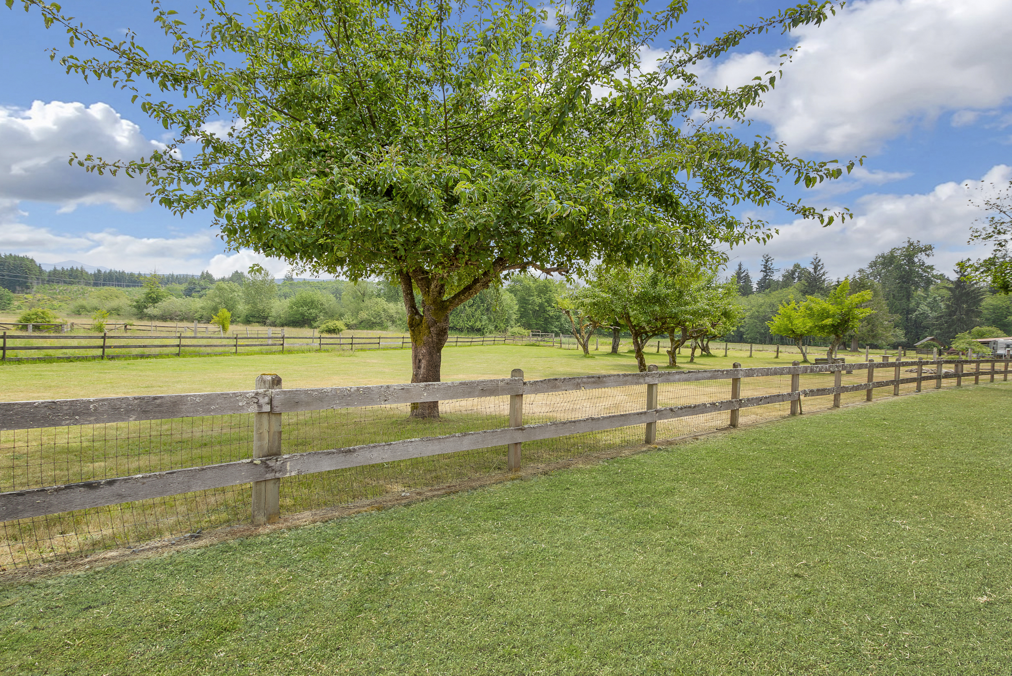 This image showcases a well-maintained yard with lush green grass and a rustic wooden fence. A large, mature tree provides shade, and the background features a sprawling field with additional trees and a glimpse of distant hills. The scene evokes a sense of tranquility and spaciousness, highlighting the property's outdoor appeal.