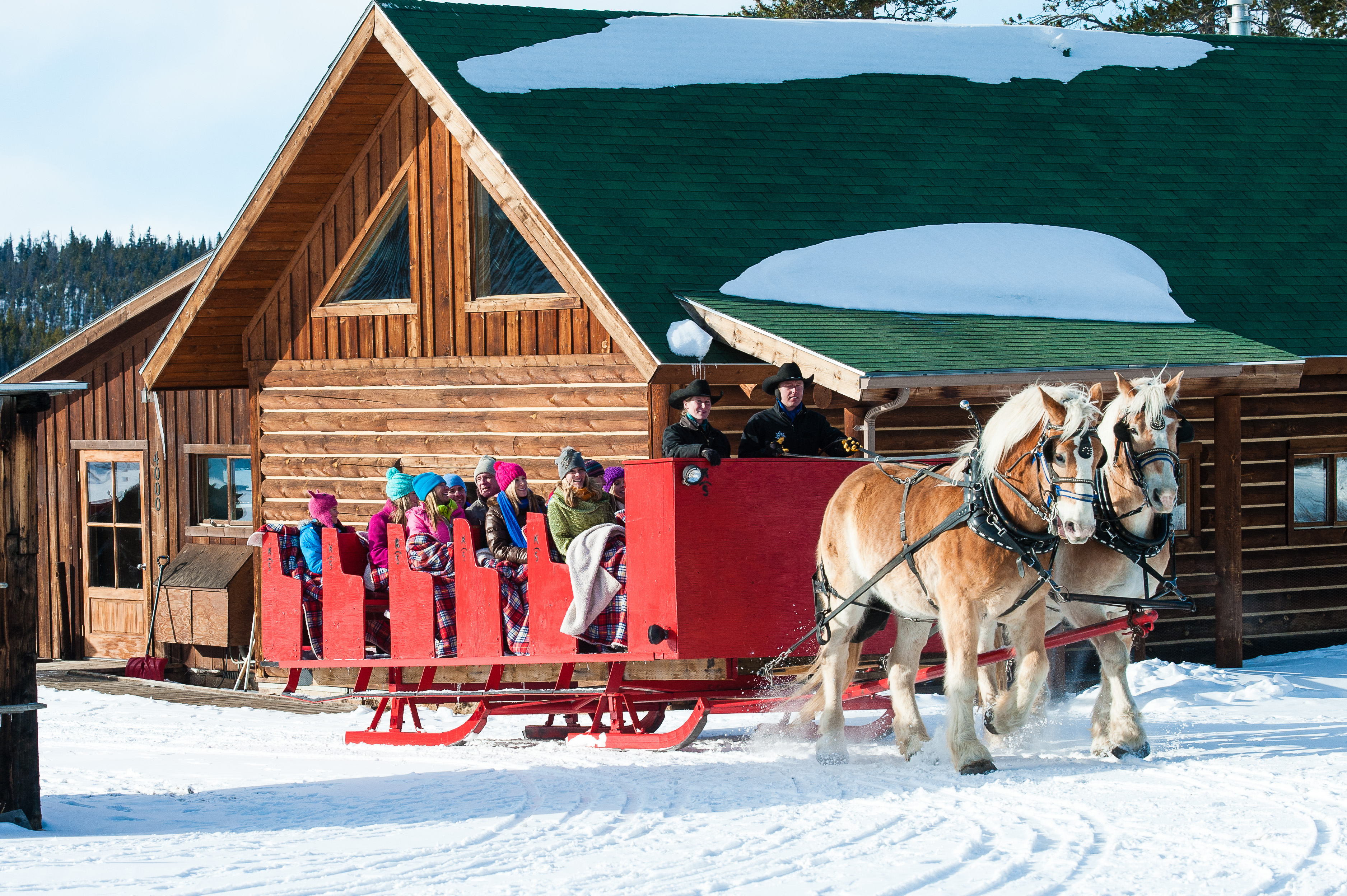 This image showcases a charming, rustic log cabin exterior featuring a steep green roof partially covered in fresh snow. In the foreground, a large red horse-drawn sleigh filled with passengers provides a festive, inviting atmosphere that reflects the property's recreational appeal. The architecture highlights classic log construction with detailed eaves, conveying a cozy mountain lodge aesthetic.