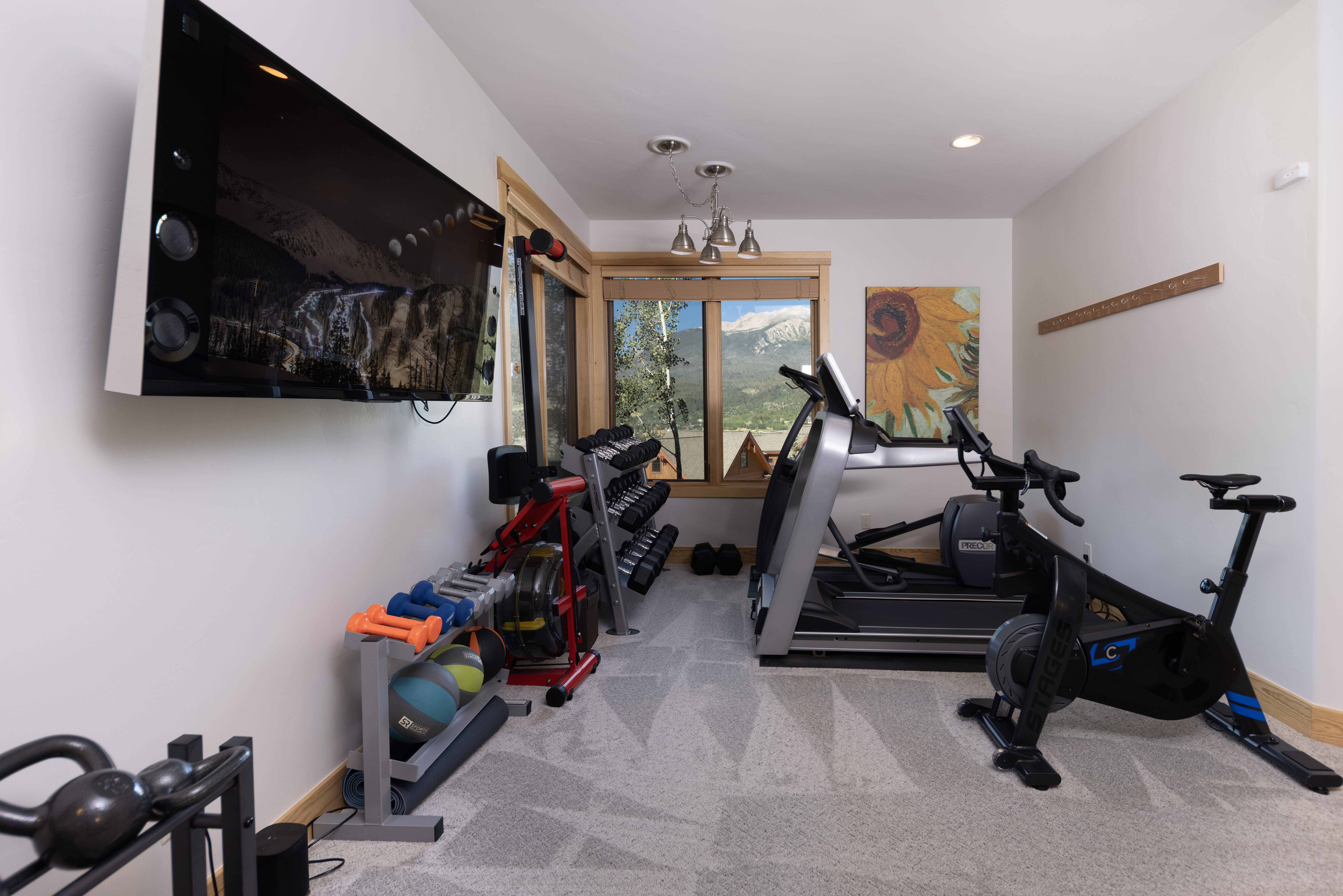 This well-equipped home gym features a variety of fitness equipment, including a treadmill, a stationary bike, a rowing machine, and a rack of dumbbells. A large wall-mounted television provides entertainment, while a window offers a scenic view of the mountains outside. The room is finished with neutral carpeting and a sunflower-themed wall art piece, creating a functional and inviting space for exercise.