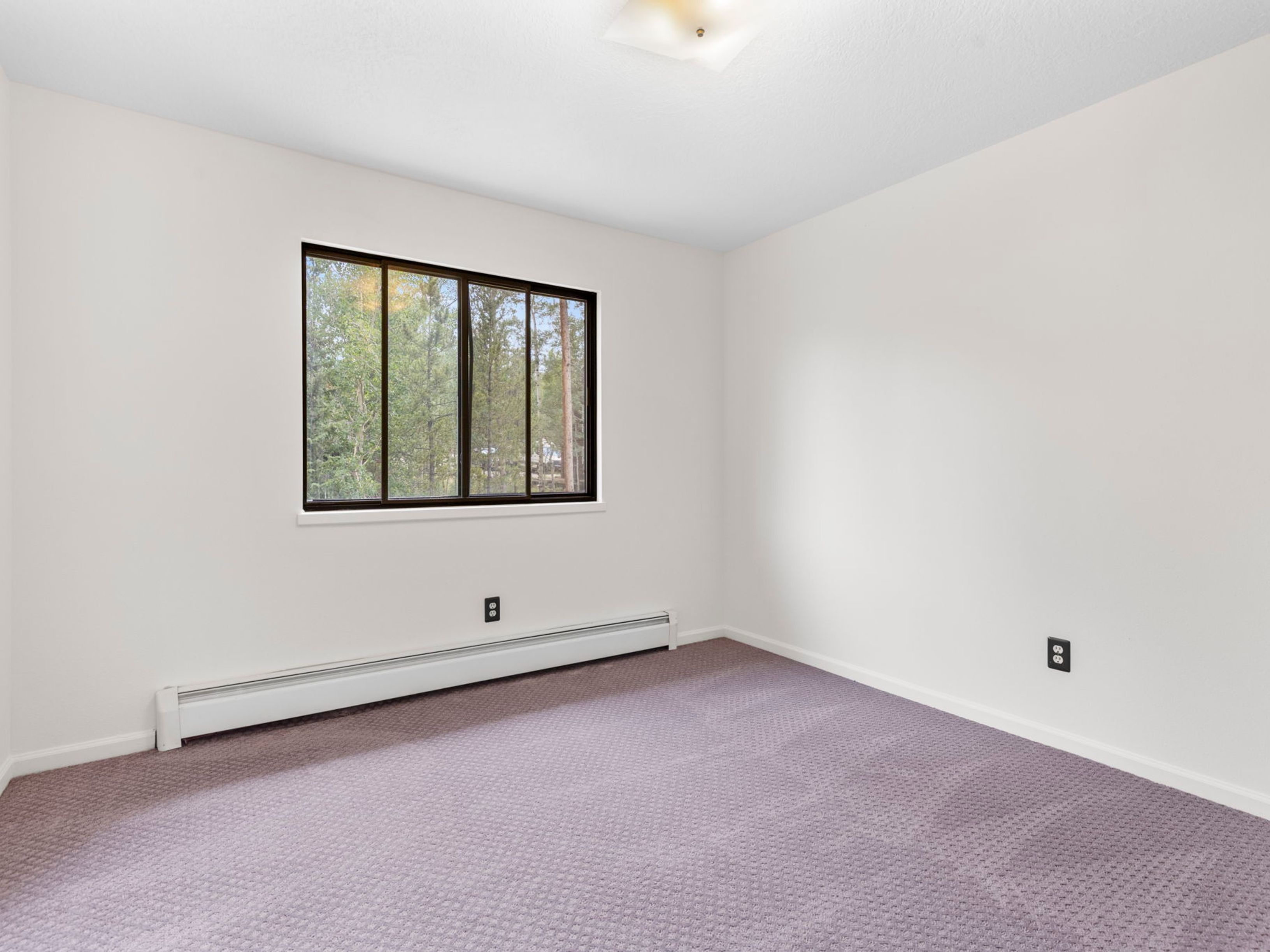 This is a simple, neutrally painted bedroom featuring light-colored walls and purple wall-to-wall carpeting. A large window with a dark frame provides a view of the surrounding trees, while a white baseboard heater runs along the wall beneath it. The room is illuminated by a central ceiling light fixture, creating a clean and blank canvas ready for personalization.