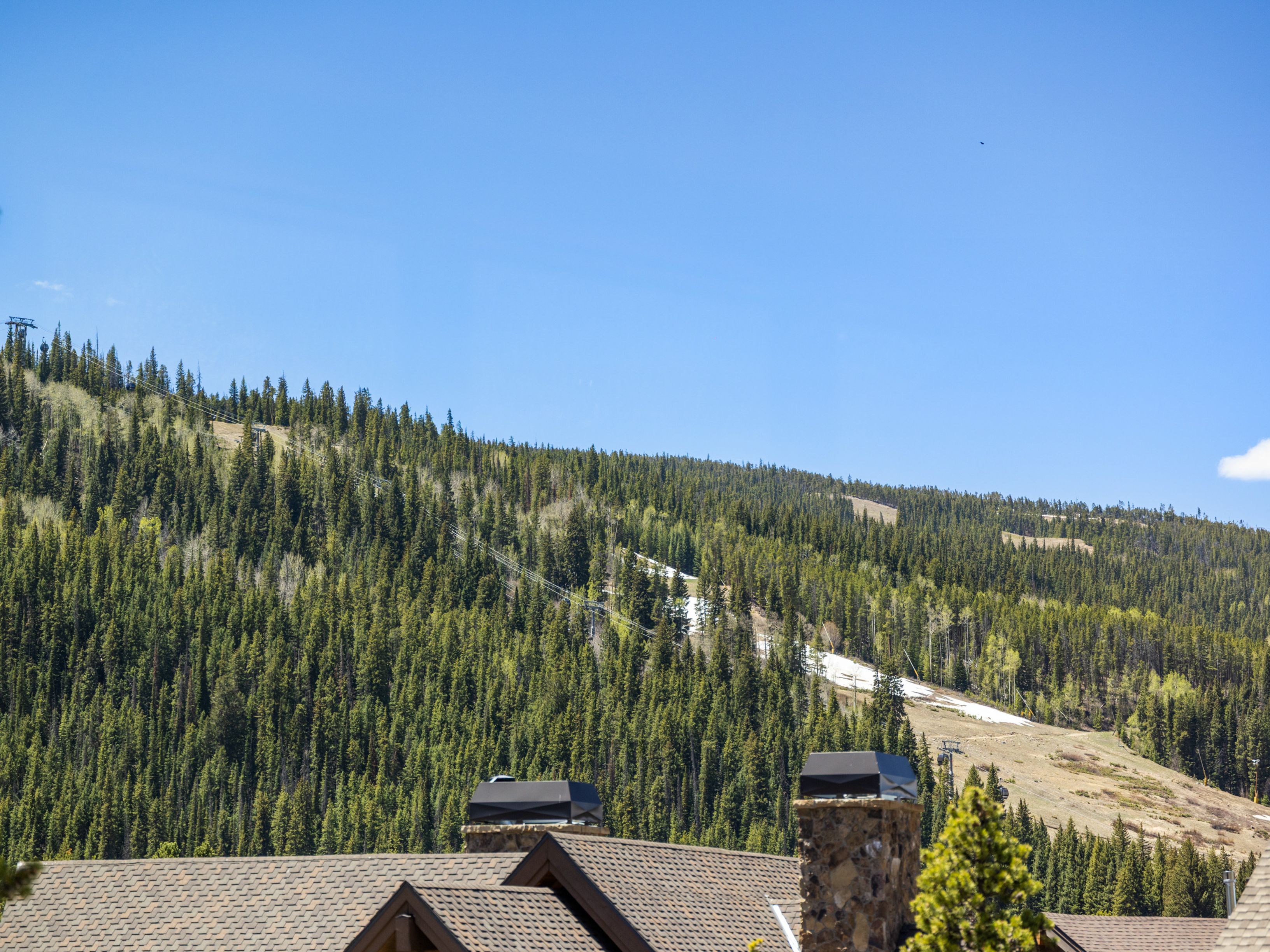 This exterior view captures the rear of a mountain-style residence, showcasing a shingled roof and a prominent stone-clad chimney breast. The foreground features the architectural details of the home, while the background offers a sweeping, elevated perspective of a lush, evergreen-covered mountainside with remnants of snow on the ski slopes. The scene conveys a serene, alpine atmosphere, emphasizing the property's proximity to nature and recreational terrain.