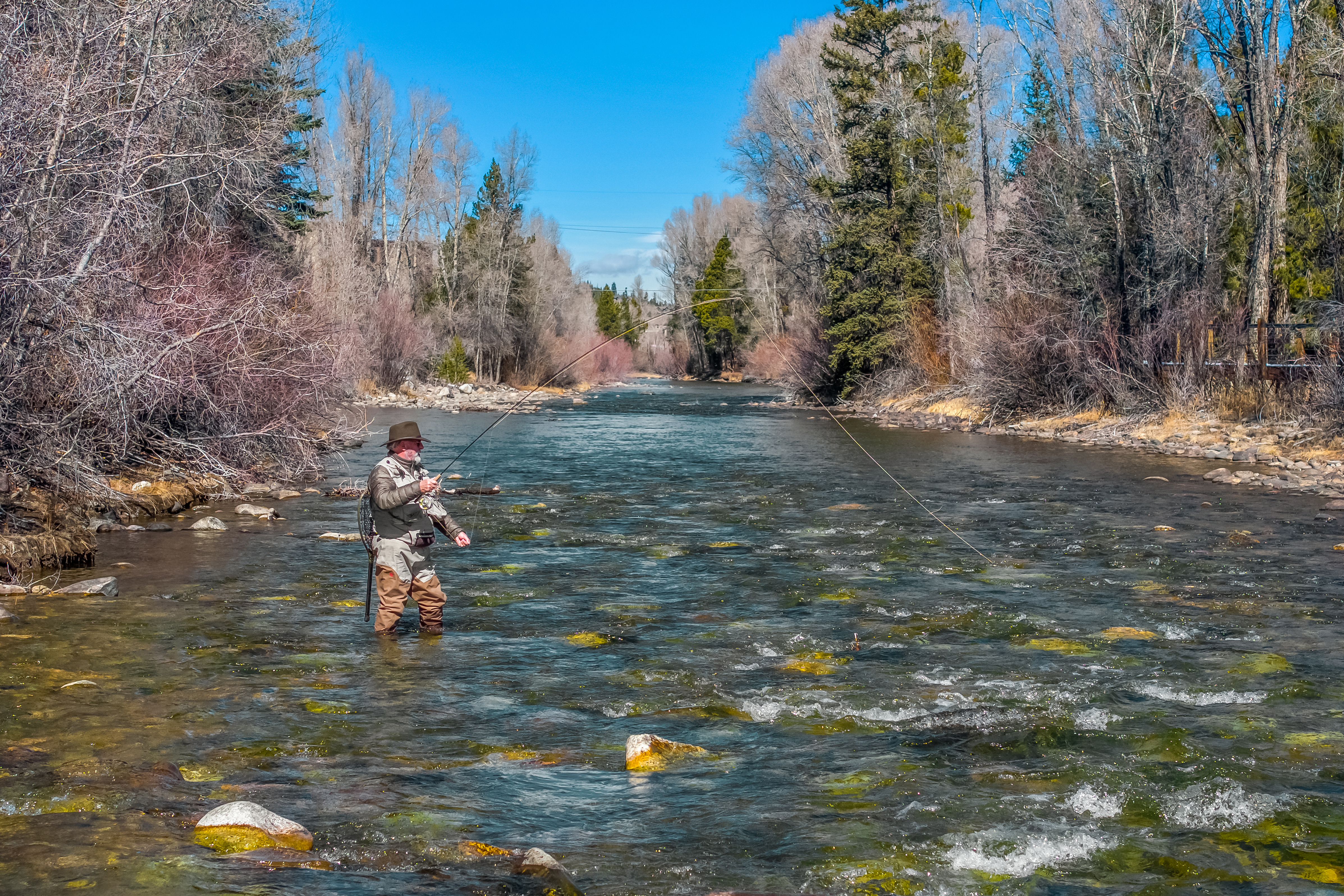This image captures a serene, wide-angle view of a fly fisherman standing in the middle of a clear, shallow river surrounded by a dense, leafless forest. The scene emphasizes the natural beauty and recreational potential of the landscape, with the river flowing gently through the center of the frame. The perspective is eye-level, highlighting the peaceful outdoor environment and the tranquil atmosphere of the setting.