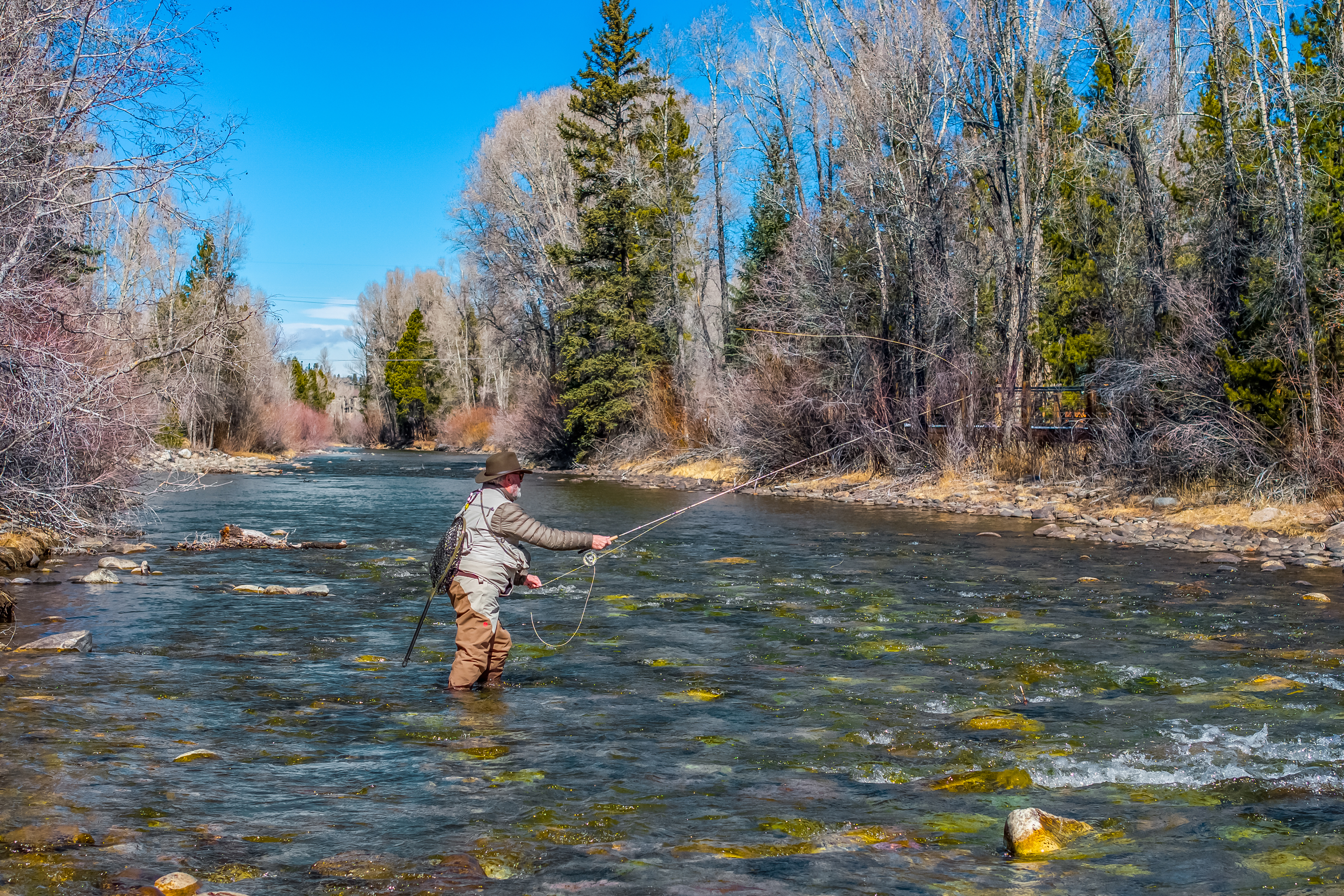 This scenic image captures a fly fisherman standing in the middle of a clear, shallow river, surrounded by a dense forest of bare trees under a bright blue sky. The perspective is a wide, eye-level shot that emphasizes the tranquil, natural beauty of the landscape and the recreational lifestyle potential of the area. The water flows gently over colorful river stones, creating a peaceful and immersive outdoor atmosphere.