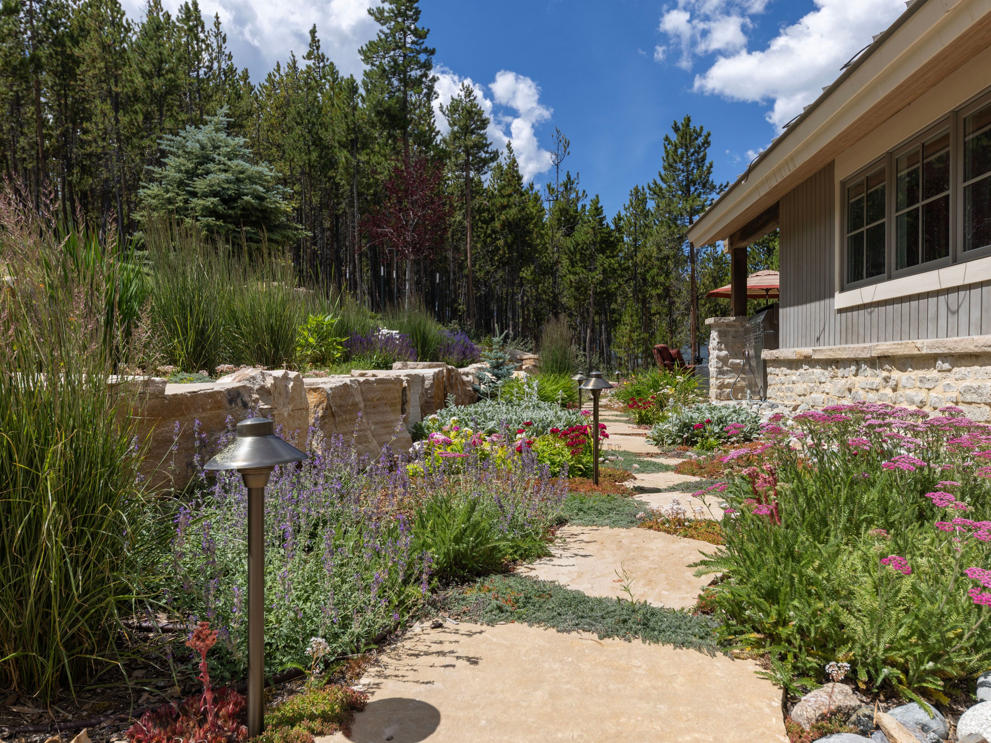 A beautifully landscaped stone pathway winds through a vibrant garden filled with purple catmint, pink yarrow, and various perennials. To the left, a rustic stacked-stone retaining wall separates the path from a dense forest of pine trees, while the side of a home with light-toned siding and stone accents borders the right. The scene is captured from a low, eye-level perspective, emphasizing the lush textures and the inviting, serene atmosphere of the outdoor space.