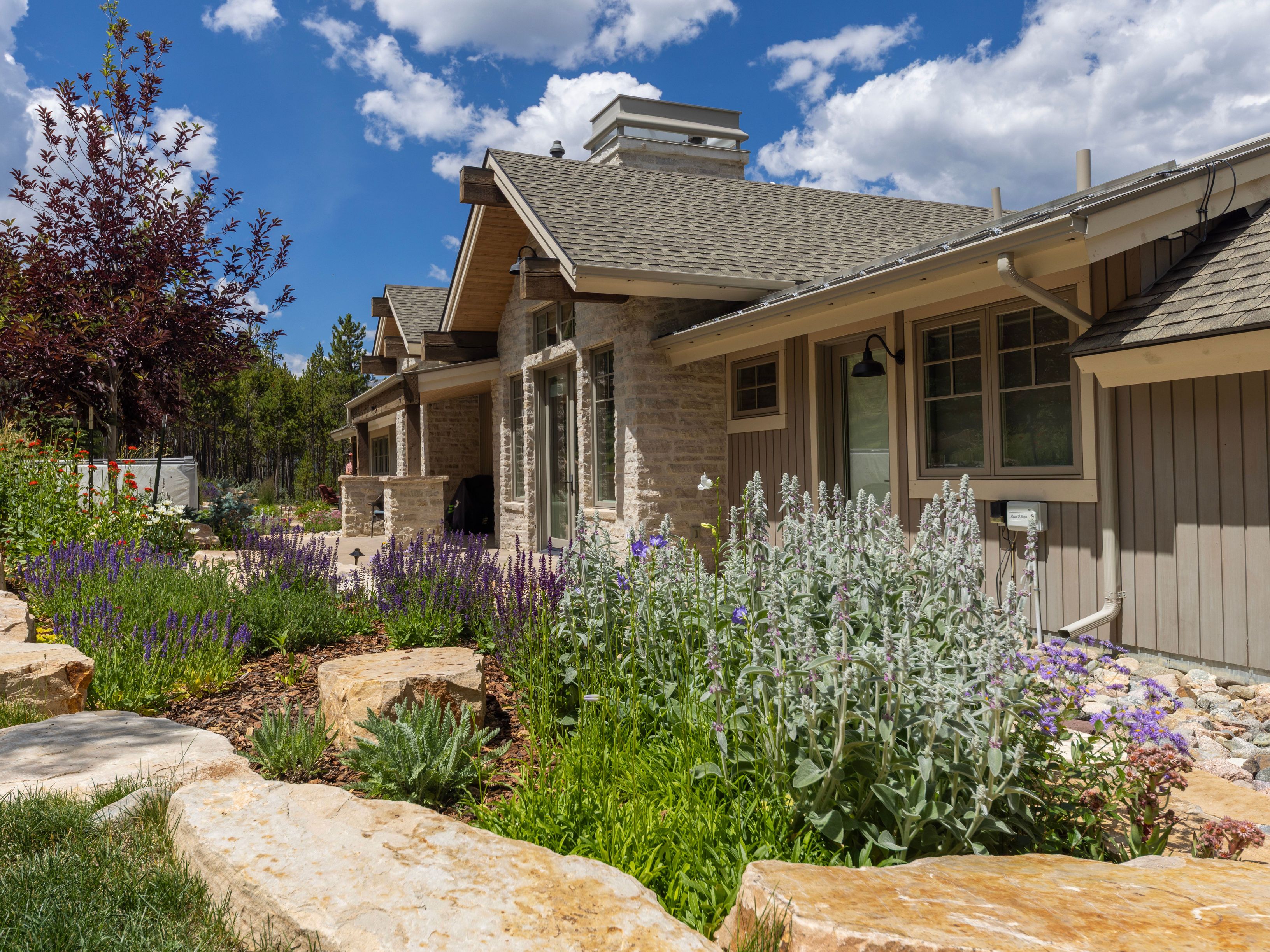 This exterior view captures a beautifully landscaped garden leading up to a rustic-style home with stone and vertical siding accents. The foreground features large, natural stone boulders nestled among vibrant purple salvia and soft, textured foliage, creating a serene and inviting atmosphere. The home's architecture includes a prominent stone chimney and a covered patio area, all set against a bright blue sky with scattered clouds.