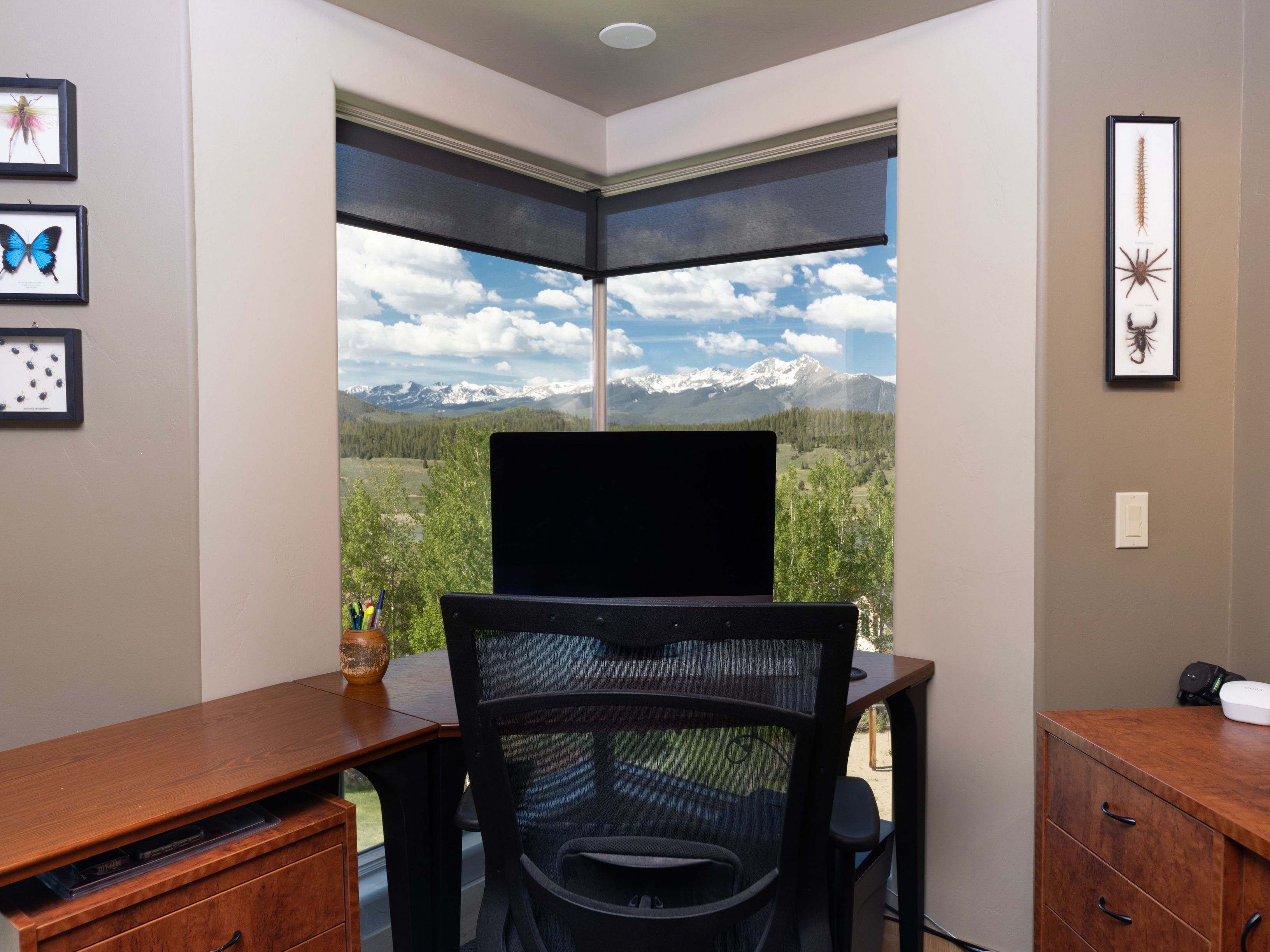 This home office features a corner desk setup positioned directly in front of large windows that frame a stunning, panoramic view of snow-capped mountains and lush green trees. The room is decorated with framed insect specimens on the walls, adding a unique, scholarly touch to the workspace. A black mesh ergonomic chair sits at the desk, creating a functional and inspiring environment for productivity.